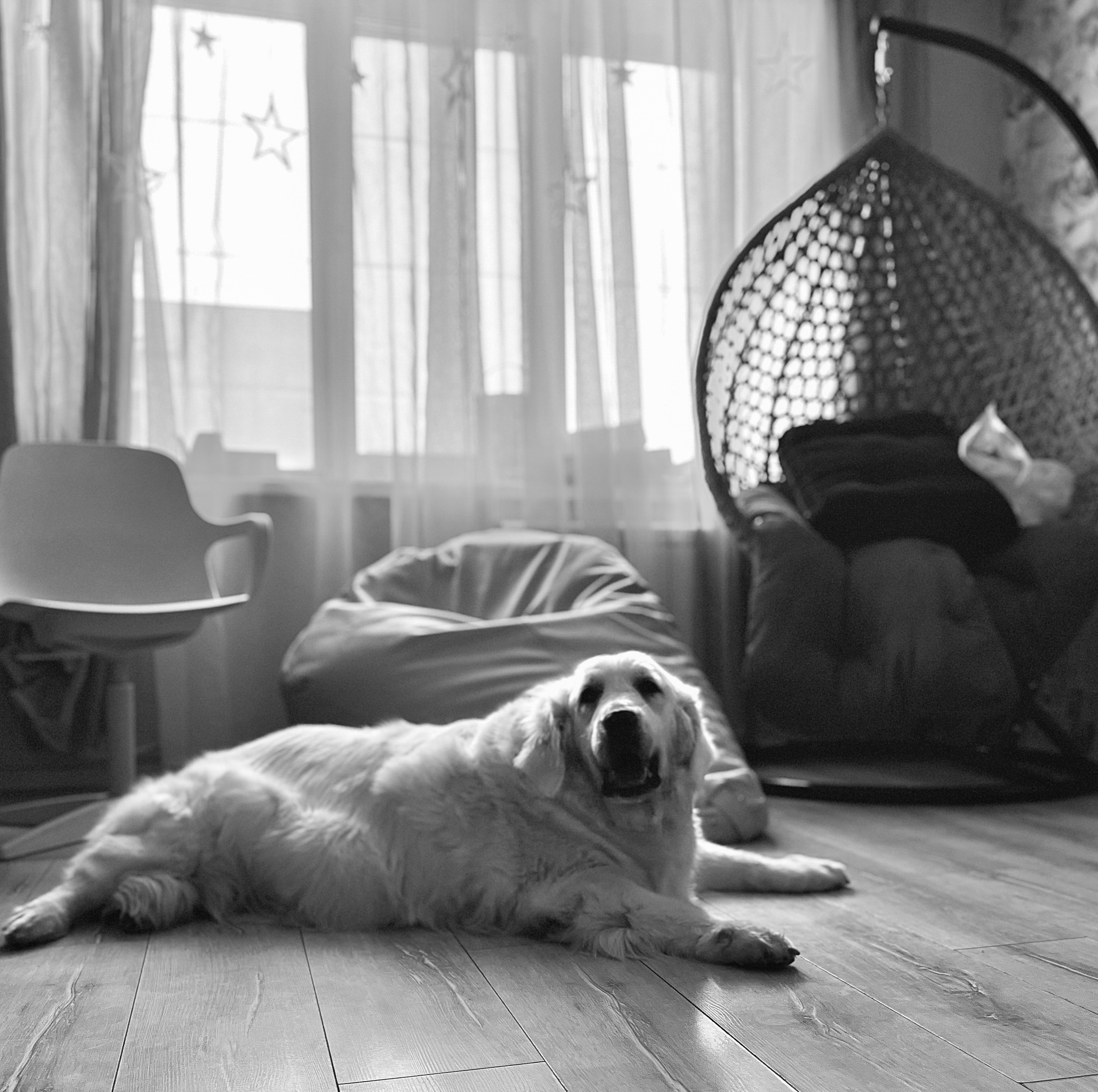 2025. Марфин. Фотограф