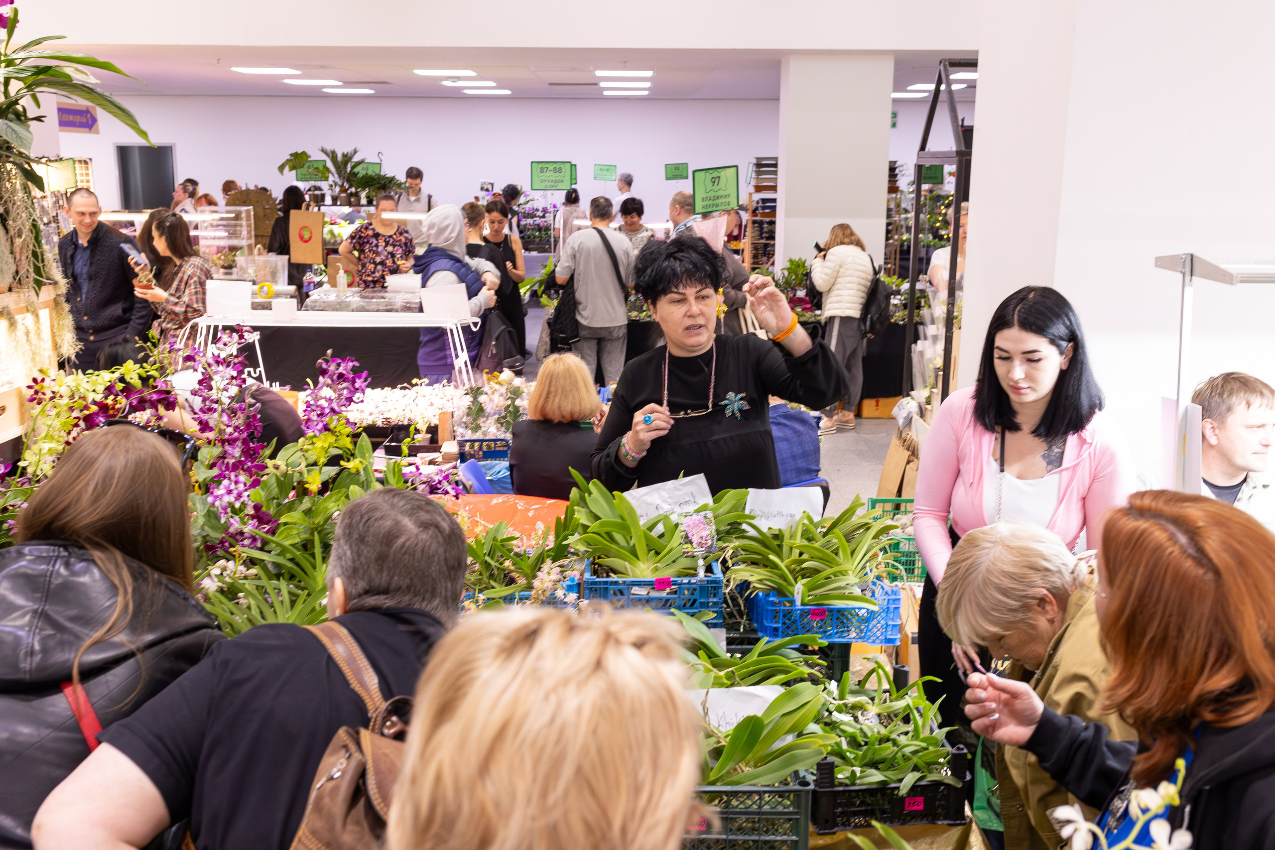 Орхидиум май 2025. Александра Куликова фотограф, Москва