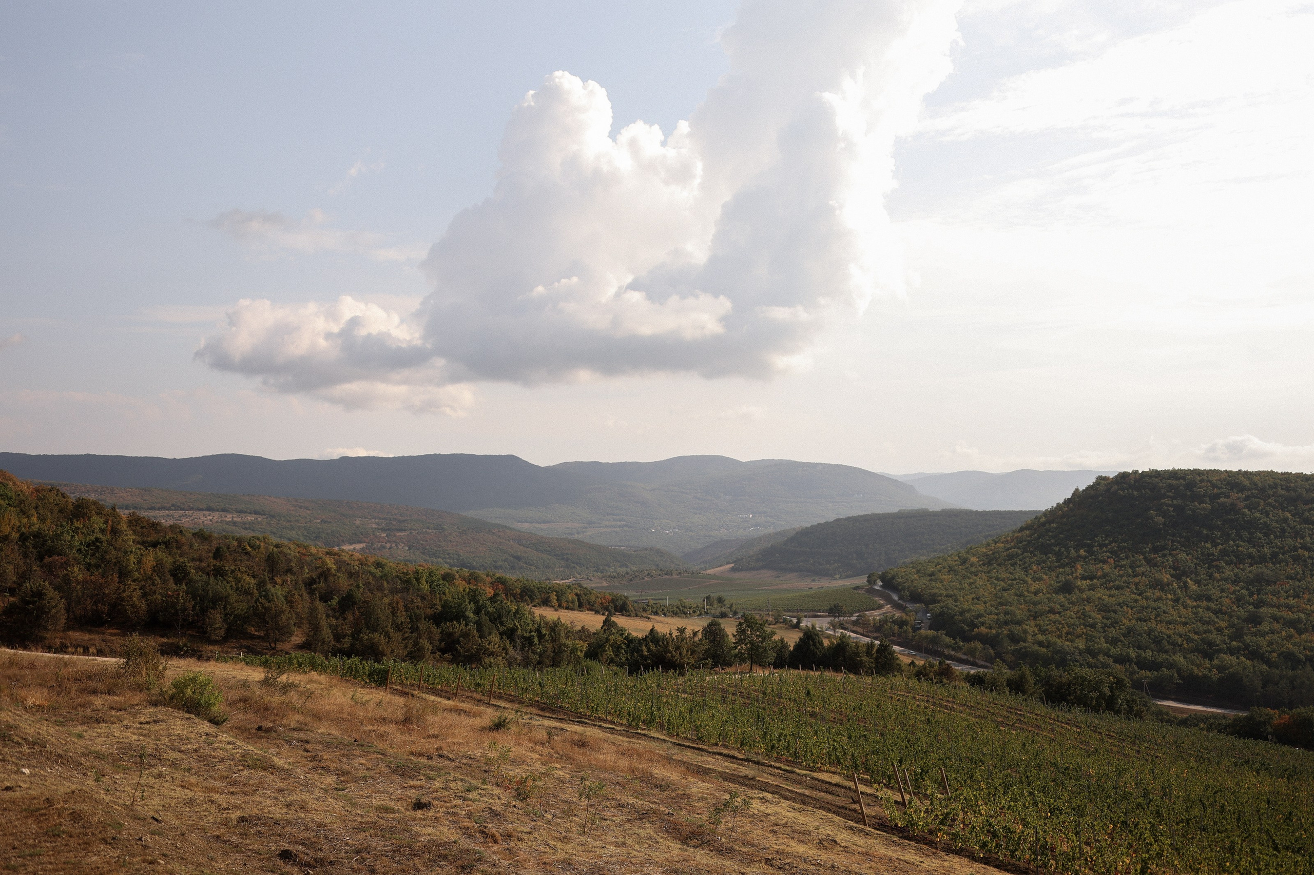 Владимир и Александра. Фотограф в Севастополе и Крыму Артем Волобуев