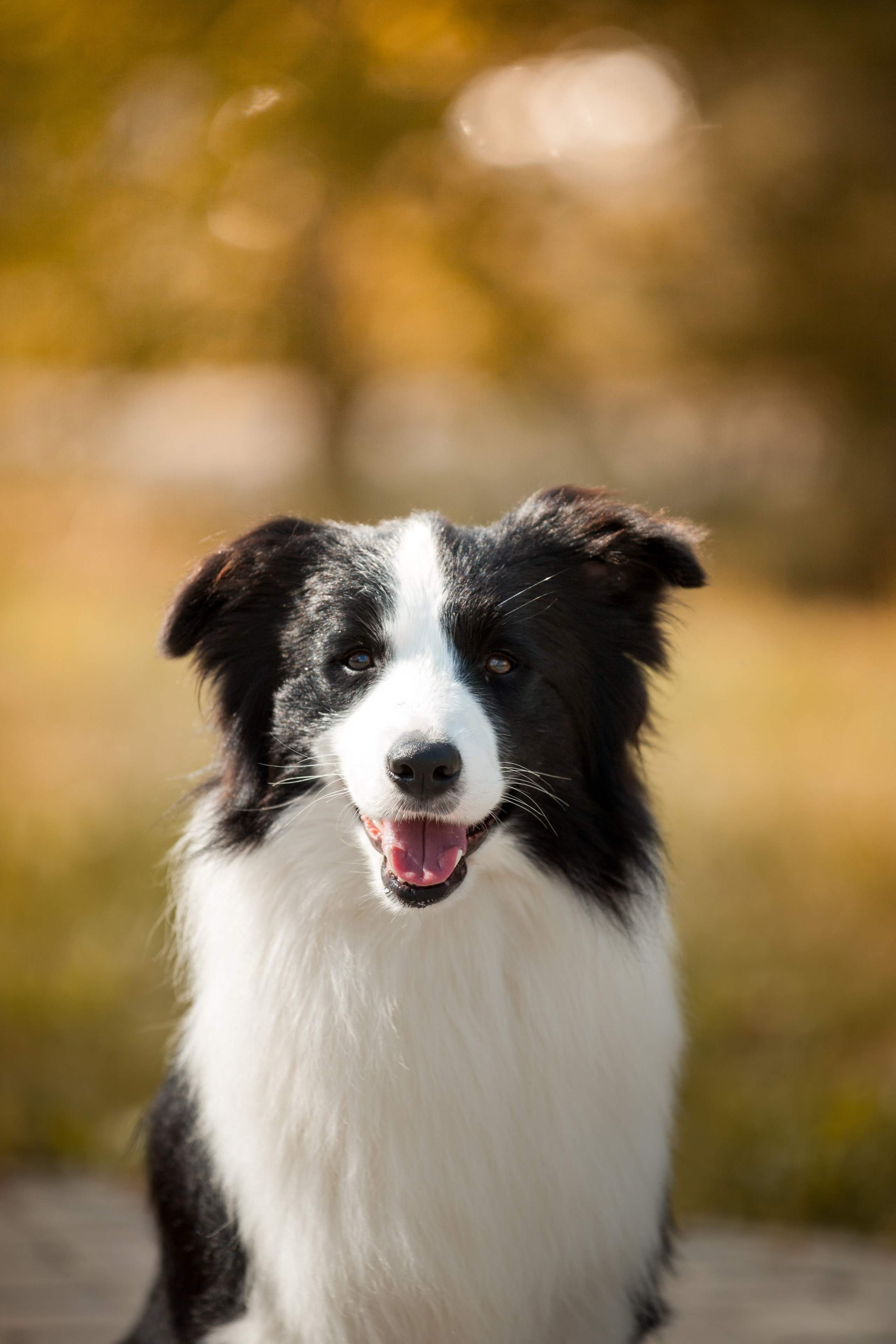 Это было в Новотроицке, было в 19. О нас
