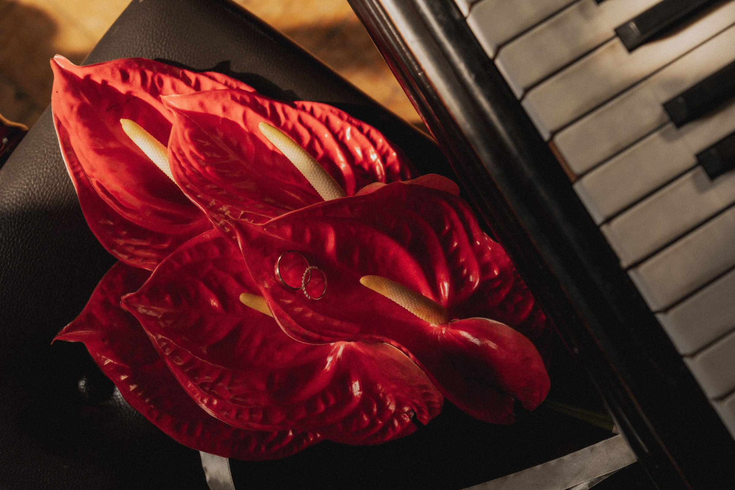 О ♡ Е — В книге нашей жизни (Библиотека-читальня им. А.С.Пушкина). Свадебный и портретный фотограф в Москве, Светлана Янковая