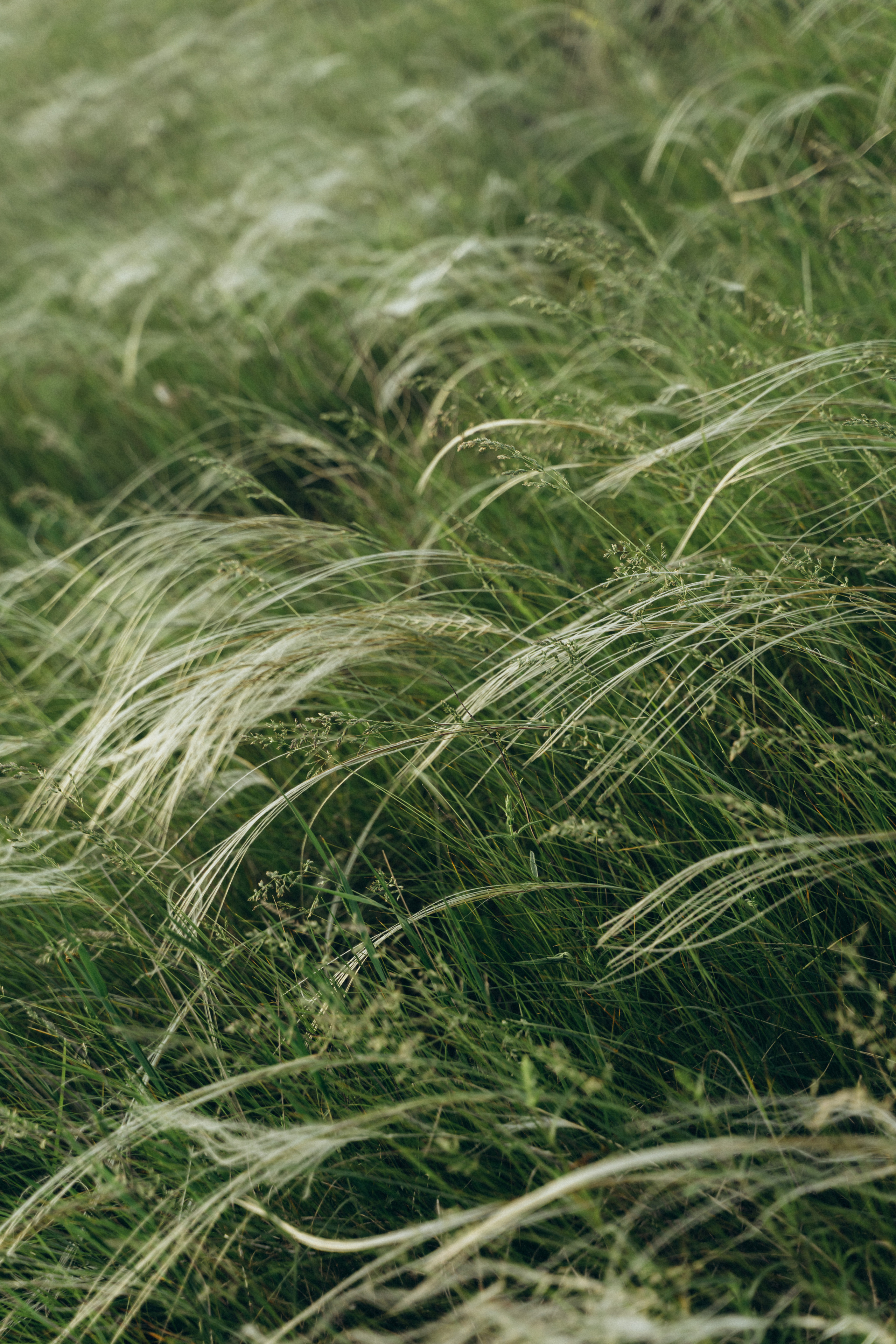 Love story. Рома и Даша. Локация — УВЕК. Семейный фотограф в Саратове