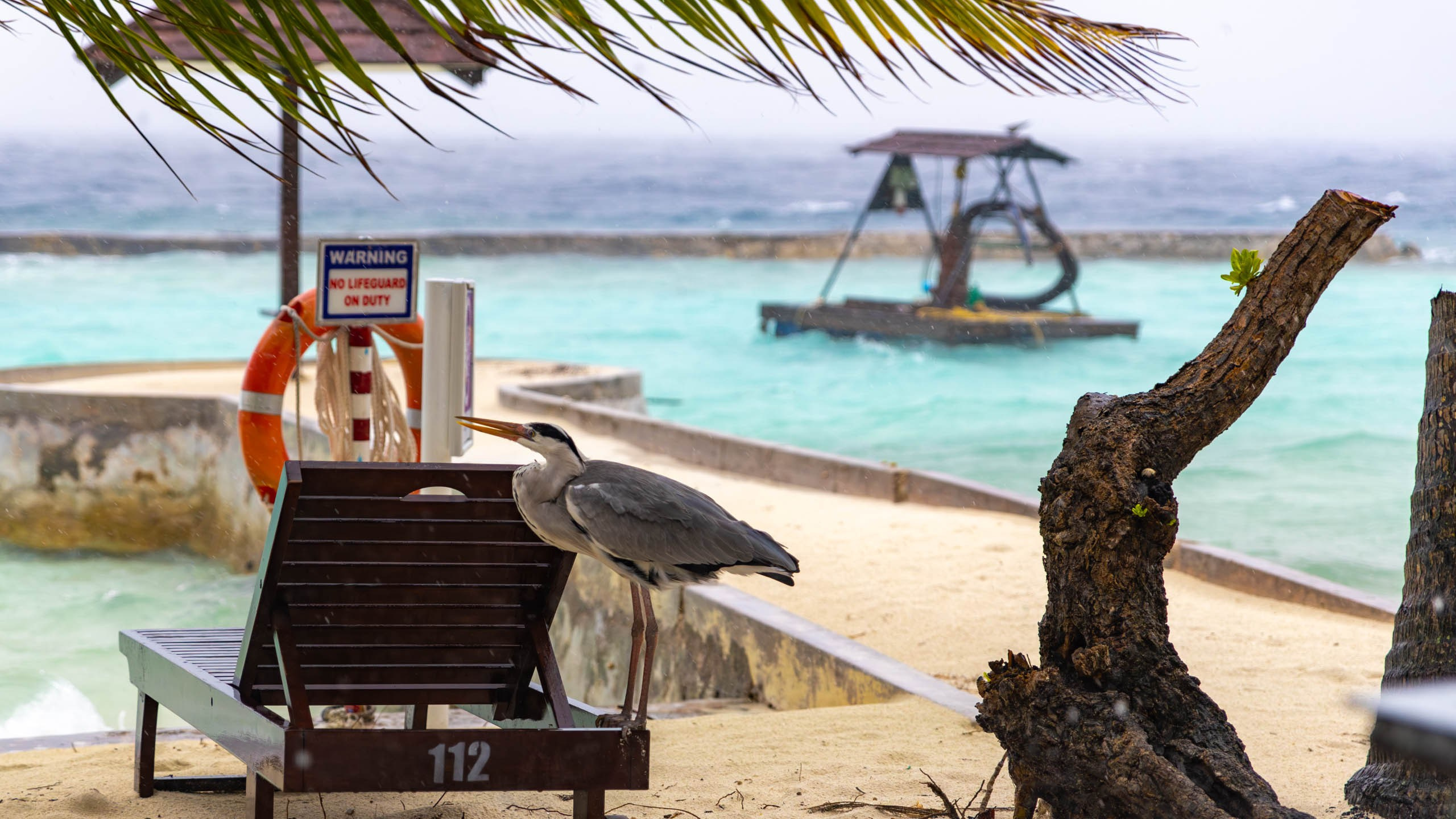Мальдивы, Ellaidhoo Maldives by Cinnamon