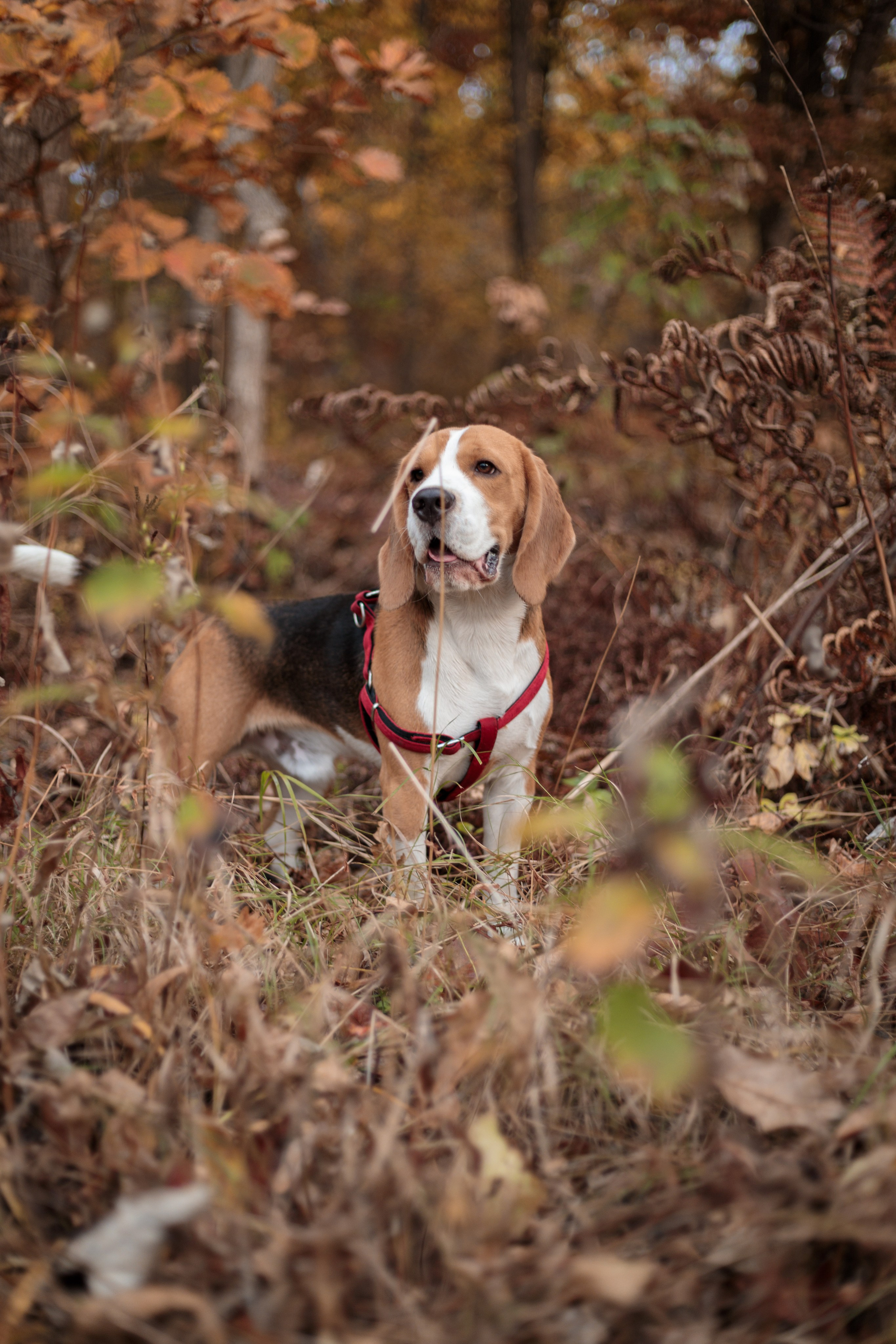Вика и Даша. Фотограф Никита Кучма
