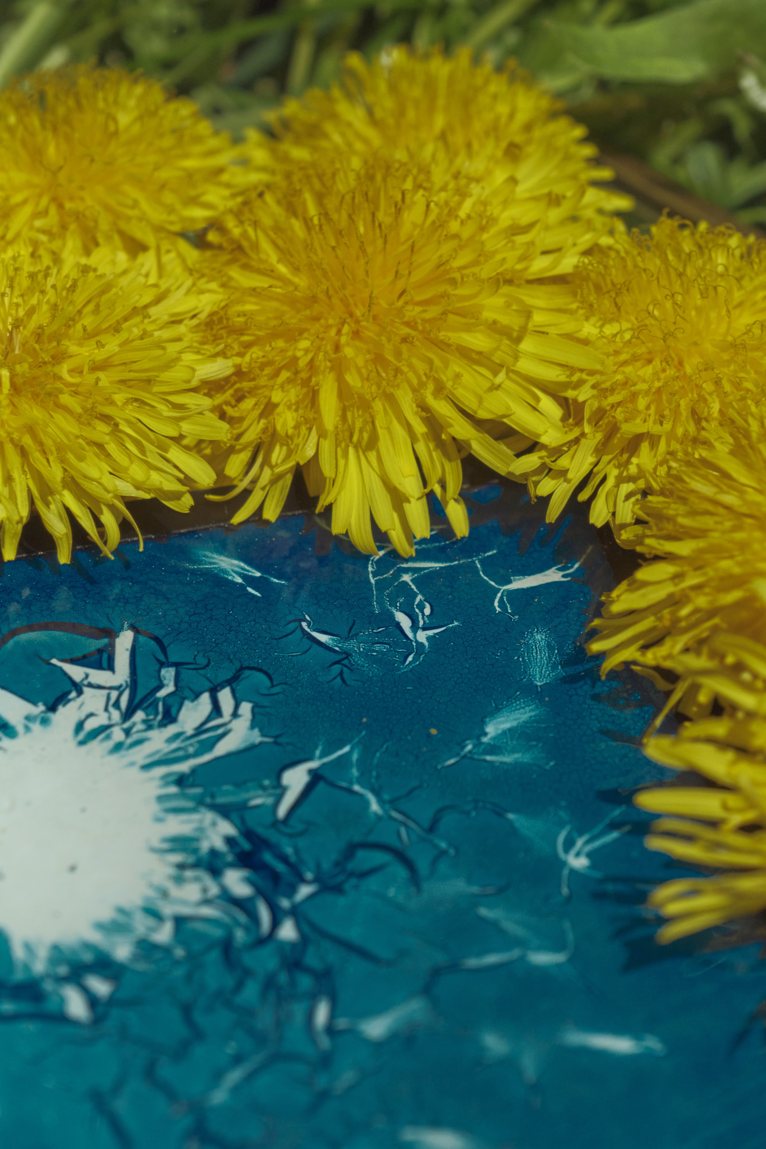 Alternative processe. Maria Norden