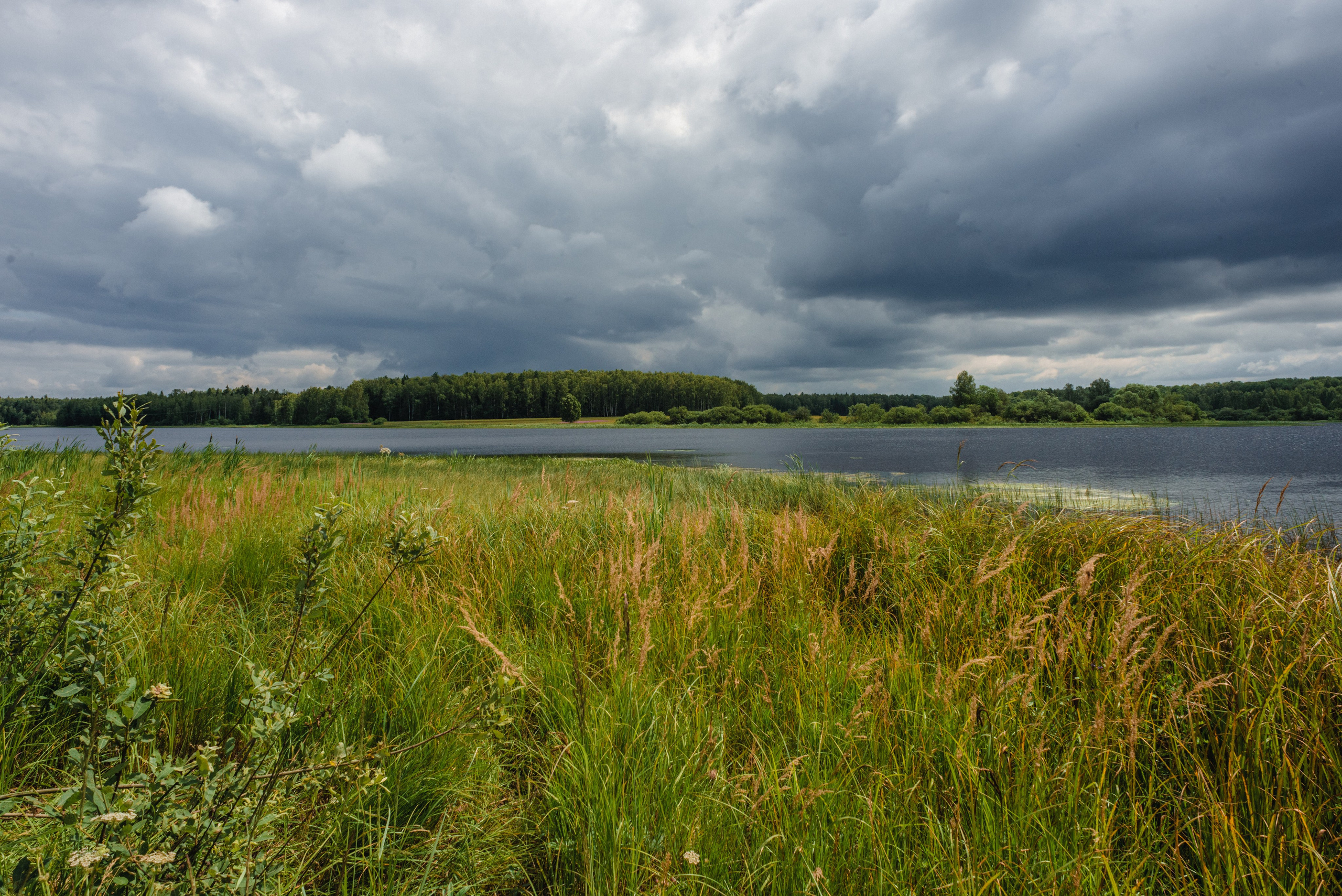 Творческие съёмки. Профессиональный фотограф Евгений Расторгуев