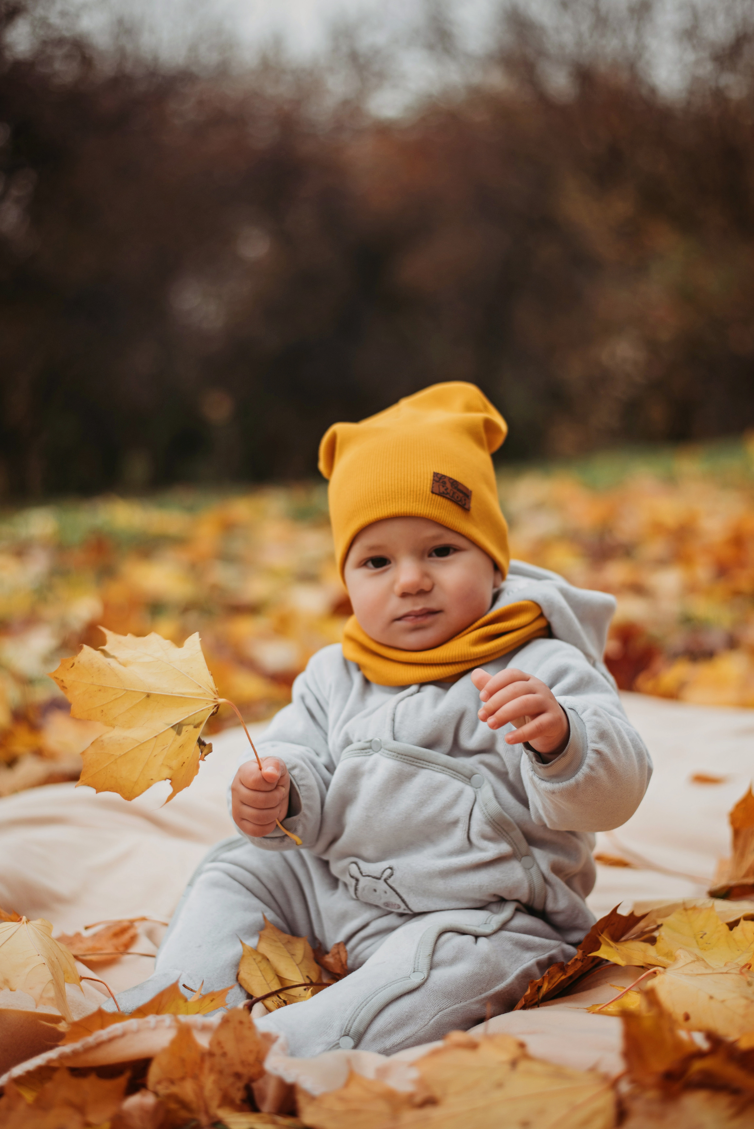 Яркие краски осени. Детский и семейный фотограф выпускной альбом Приморско-Ахтарск