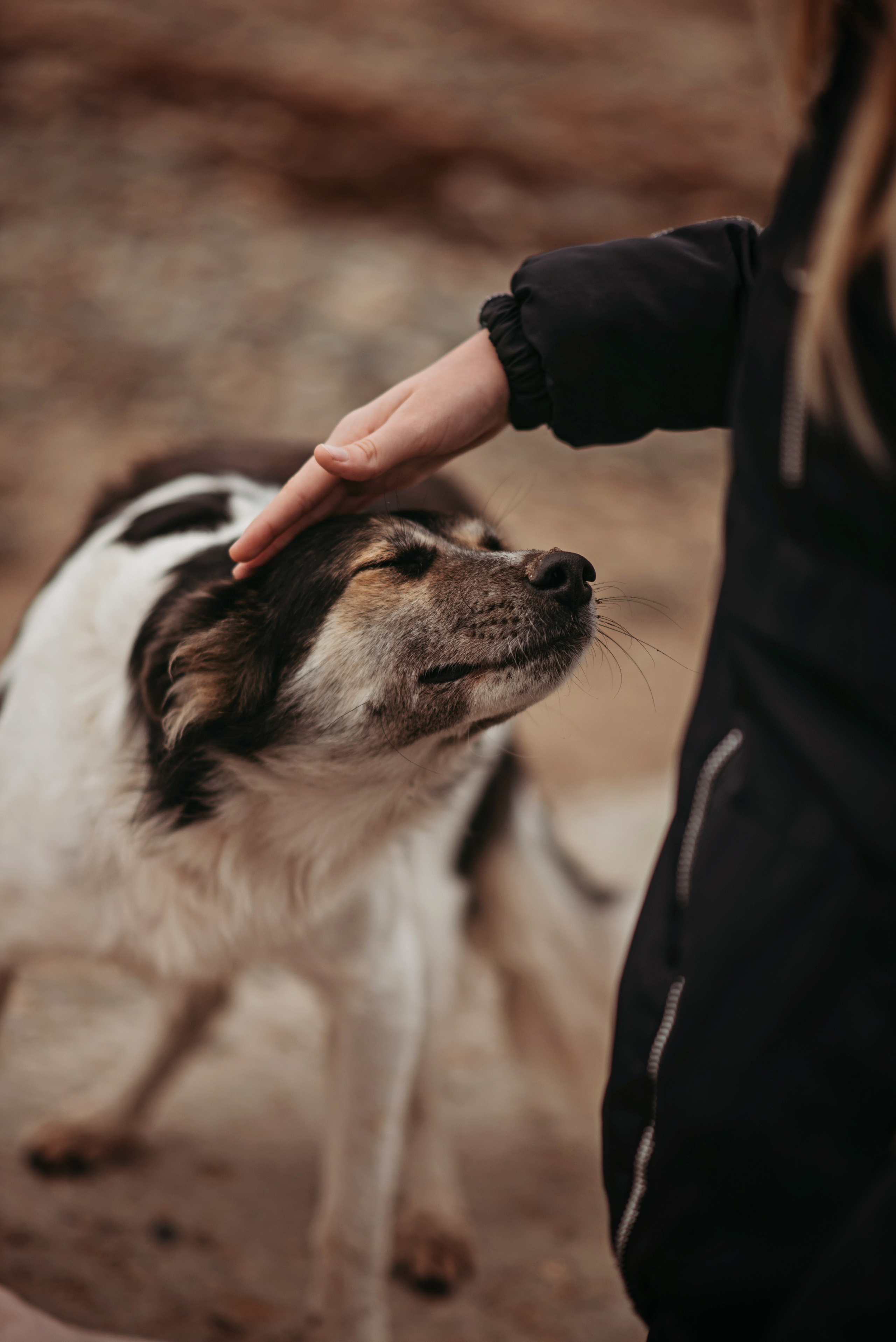 Прогулка с детьми. Детский и семейный фотограф выпускной альбом Приморско-Ахтарск