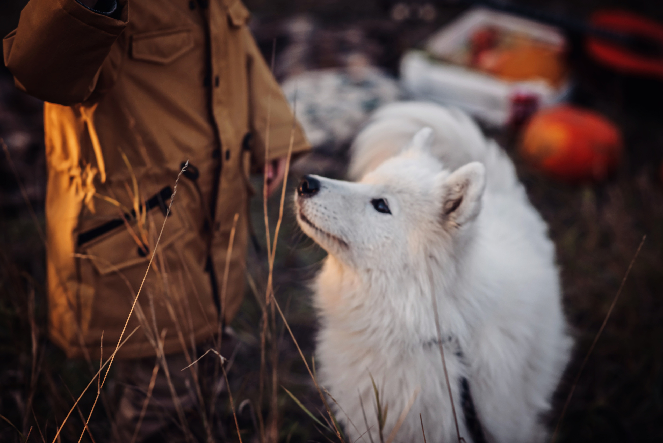 Яркий октябрь. Детский и семейный фотограф выпускной альбом Приморско-Ахтарск