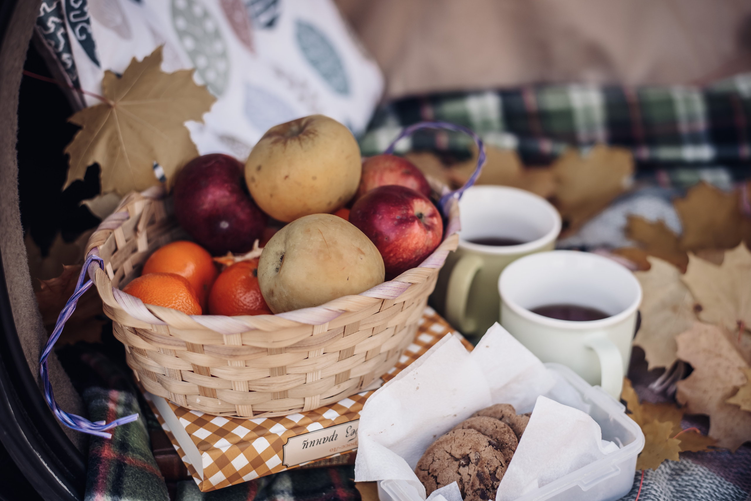 Осень для тепла и любви. Детский и семейный фотограф выпускной альбом Приморско-Ахтарск