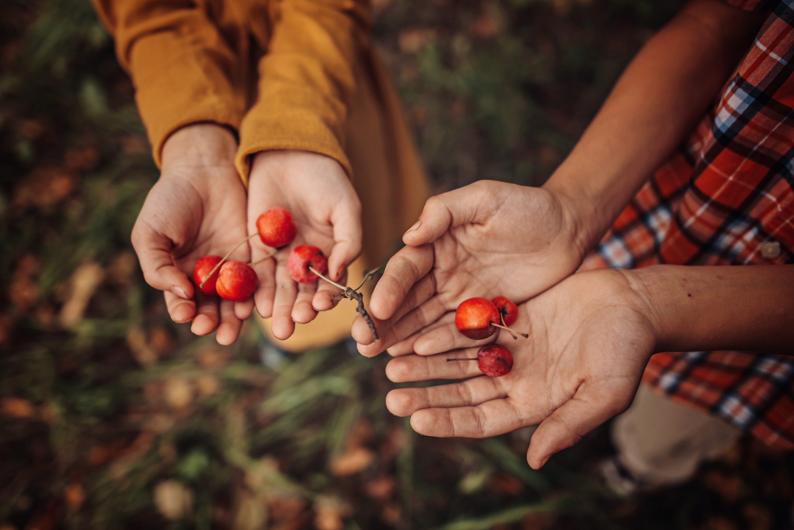 Вкусная пицца. Детский и семейный фотограф выпускной альбом Приморско-Ахтарск