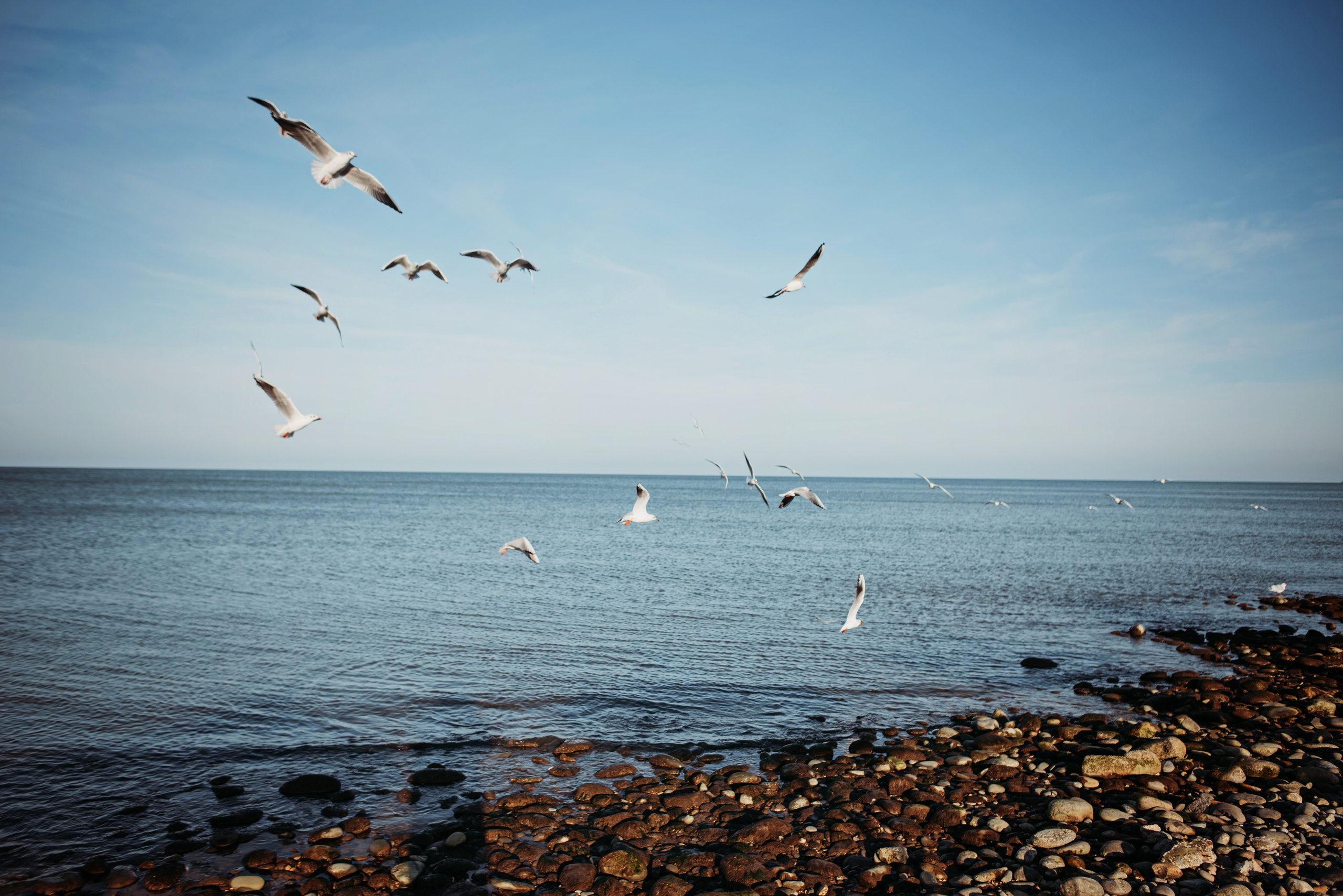 Декабрь у моря. Детский и семейный фотограф выпускной альбом Приморско-Ахтарск