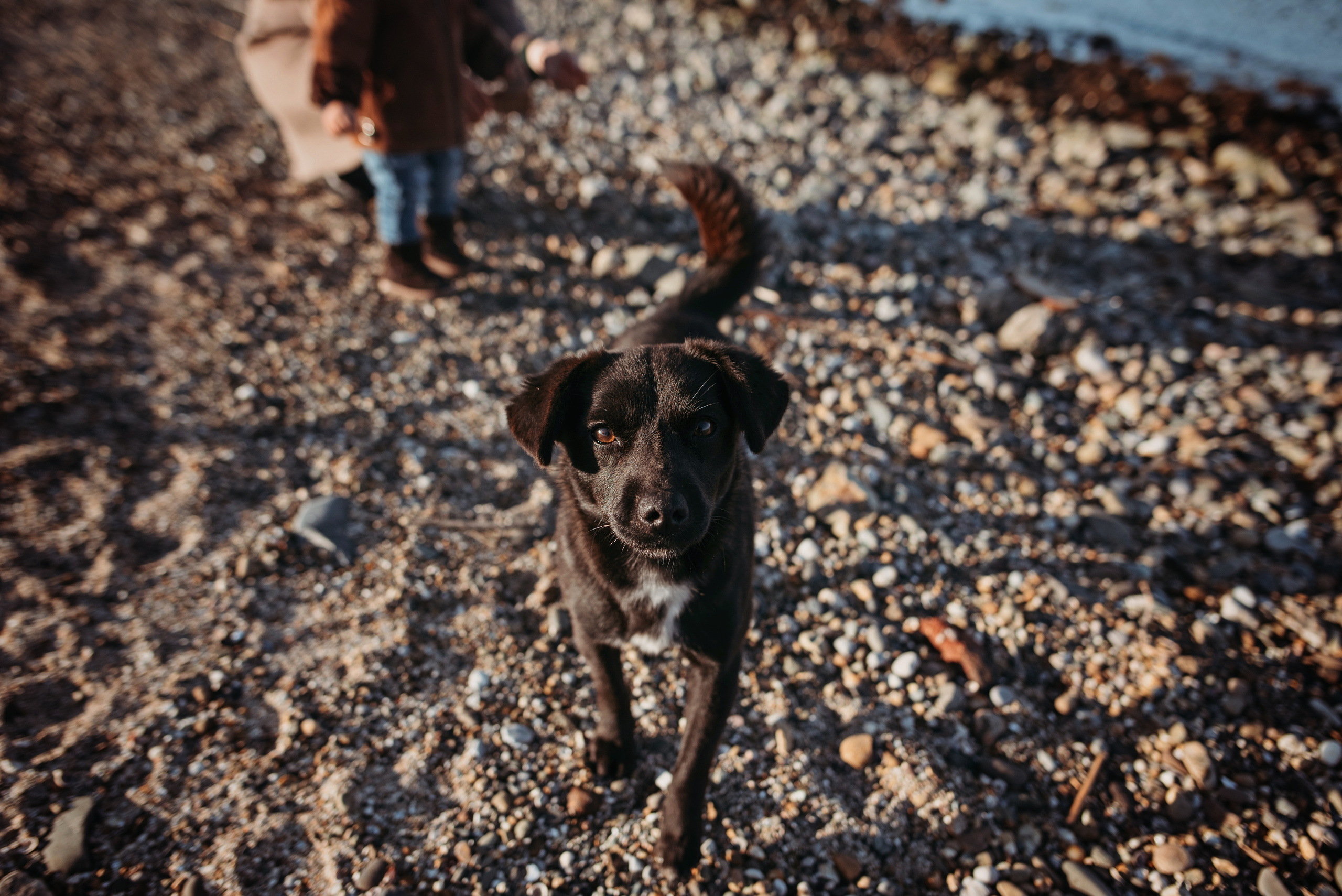 Декабрь у моря. Детский и семейный фотограф выпускной альбом Приморско-Ахтарск