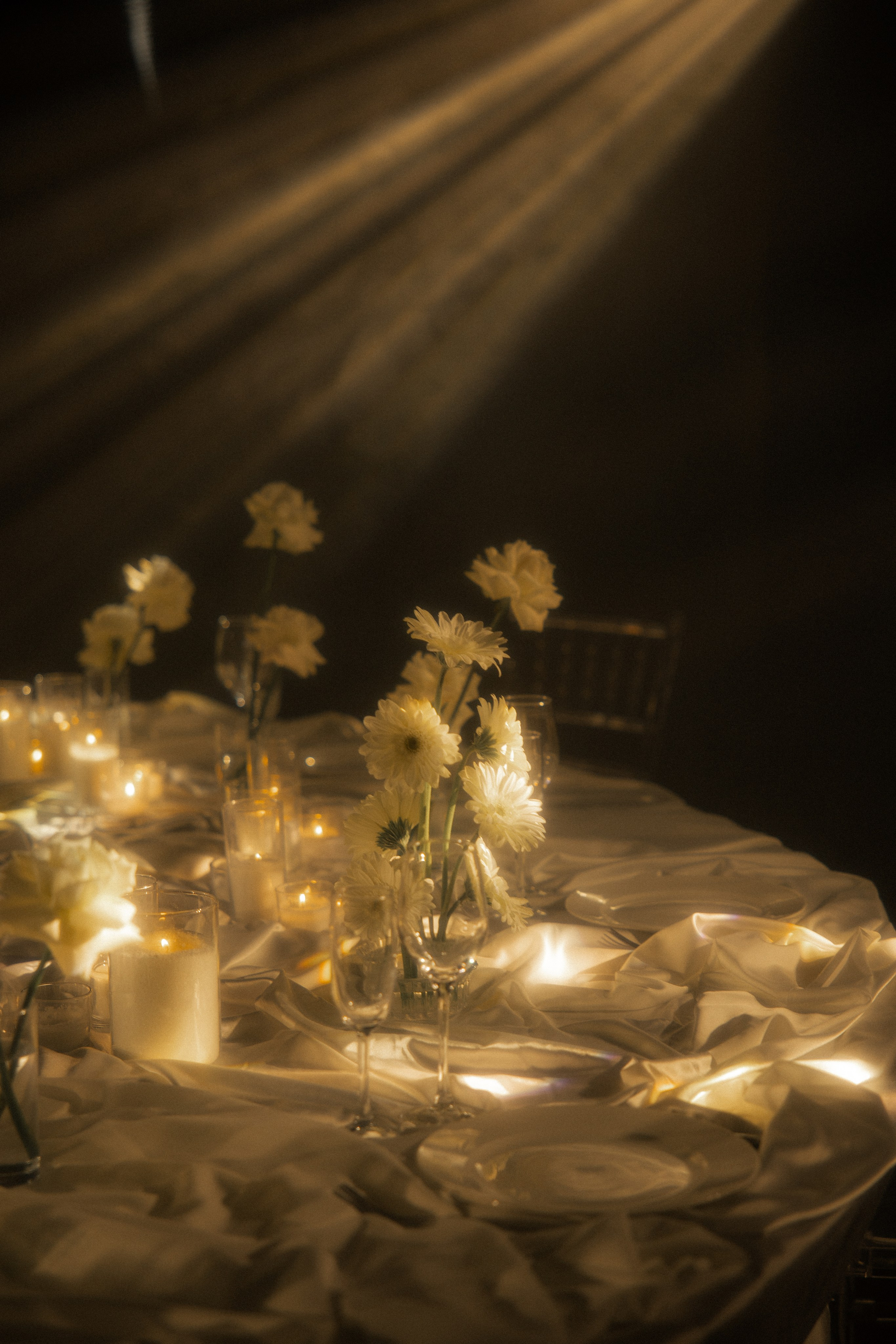 Вероника & Максим. Phdkvmr.ru