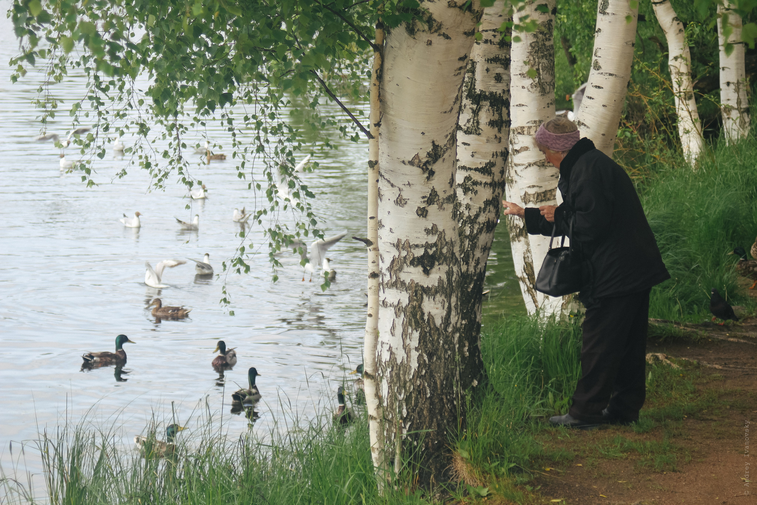 Петергоф — Canon EF 35-70 Fixed. Famitsu