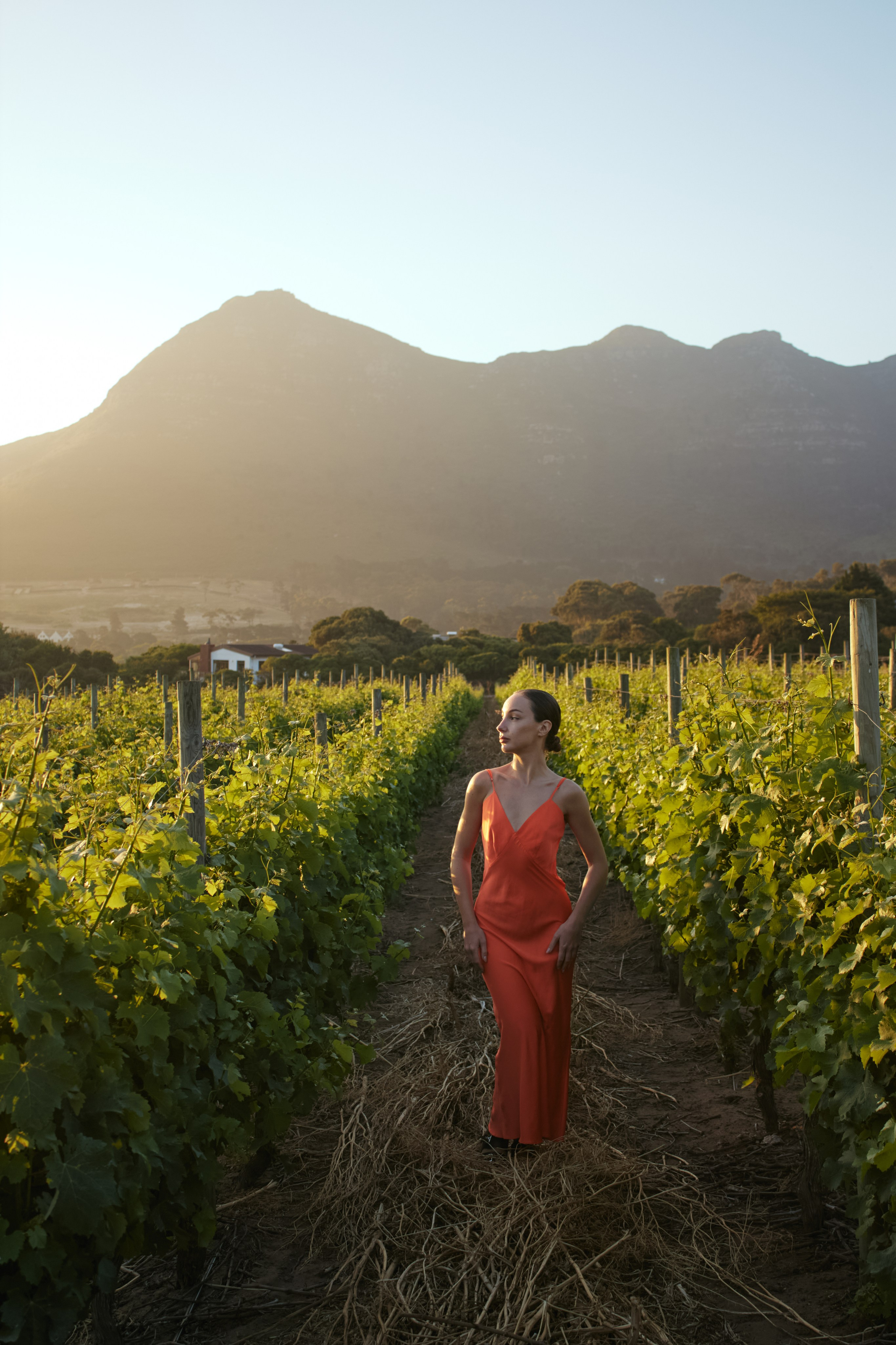 ЮАР. Профессиональный Фотограф во Владимире, в Москве и в Суздале — Полина Романычева