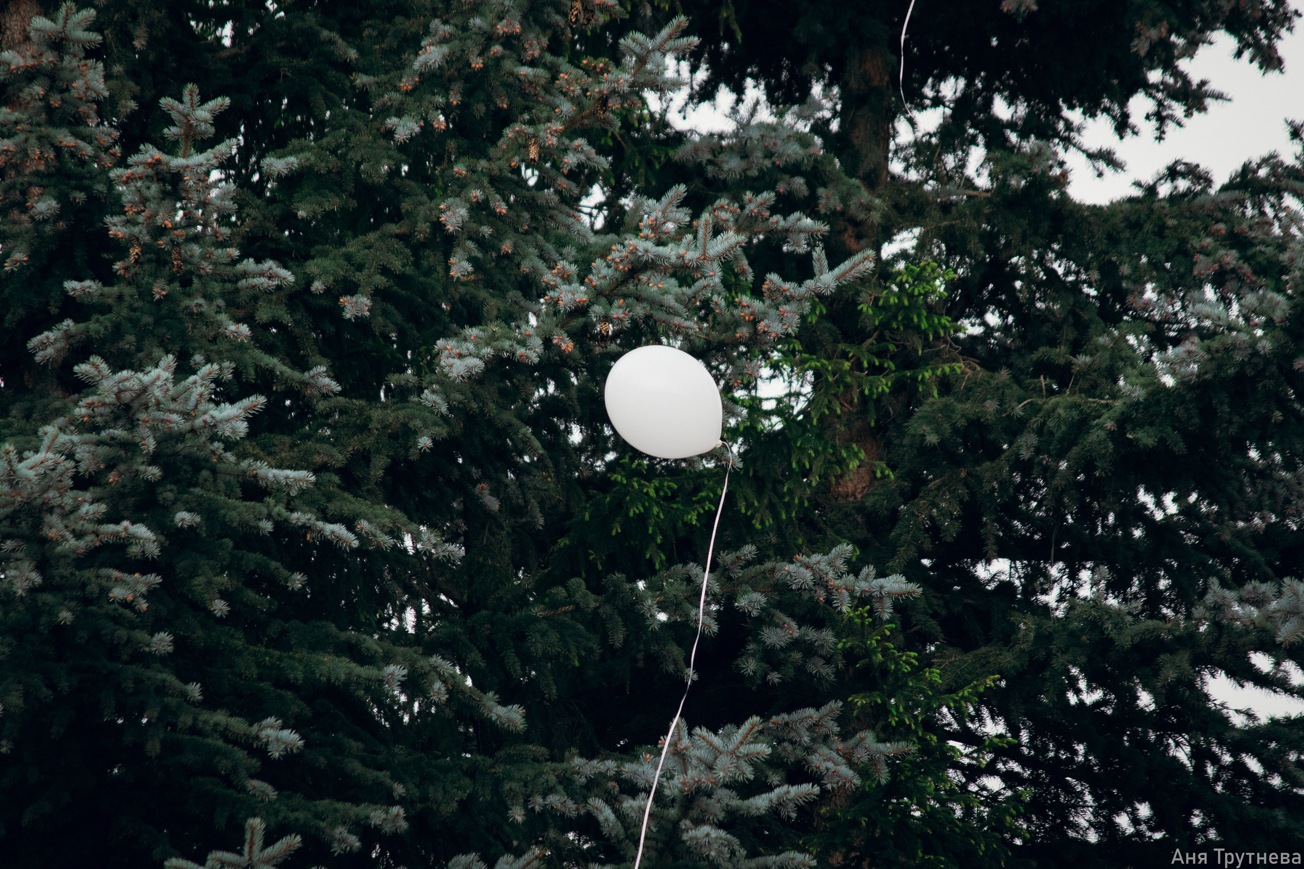 9 мая 2025. Фотограф и видеограф в Бугульме Аня Трутнева