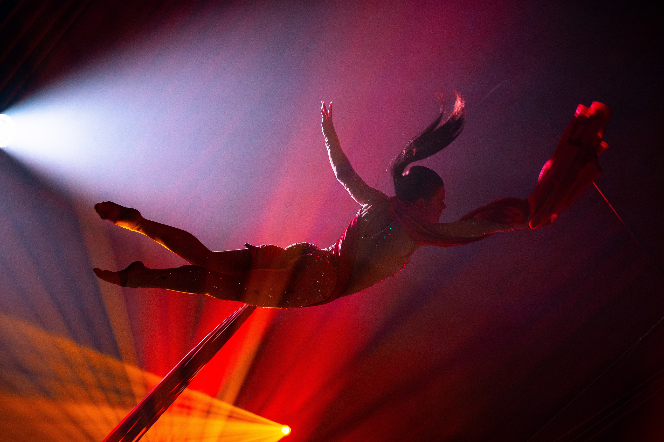 Цирковое шоу. Видеограф Добромыслов