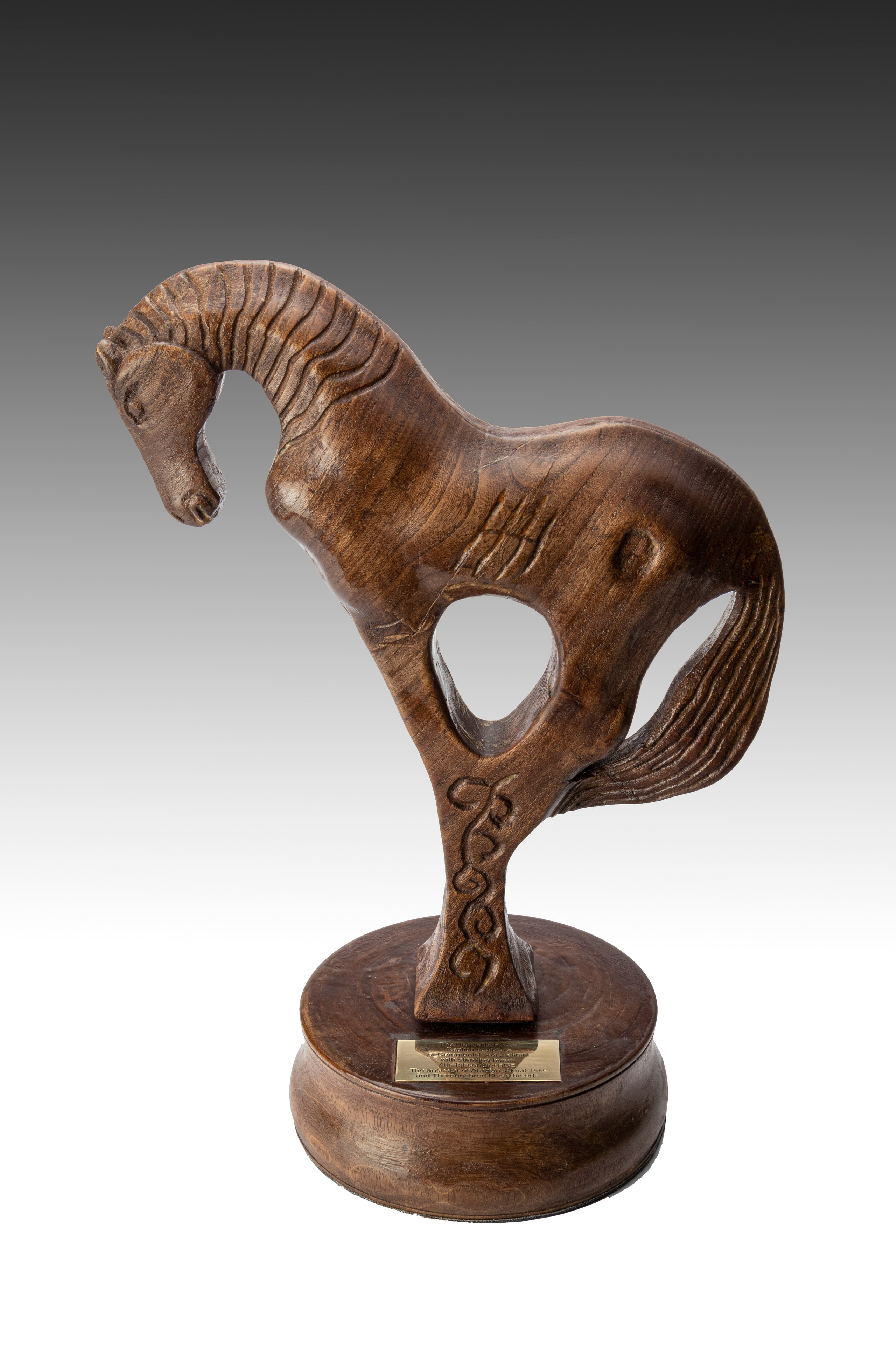 Фотосъемка для маркетплейсов. Профессиональный фотограф в Астане