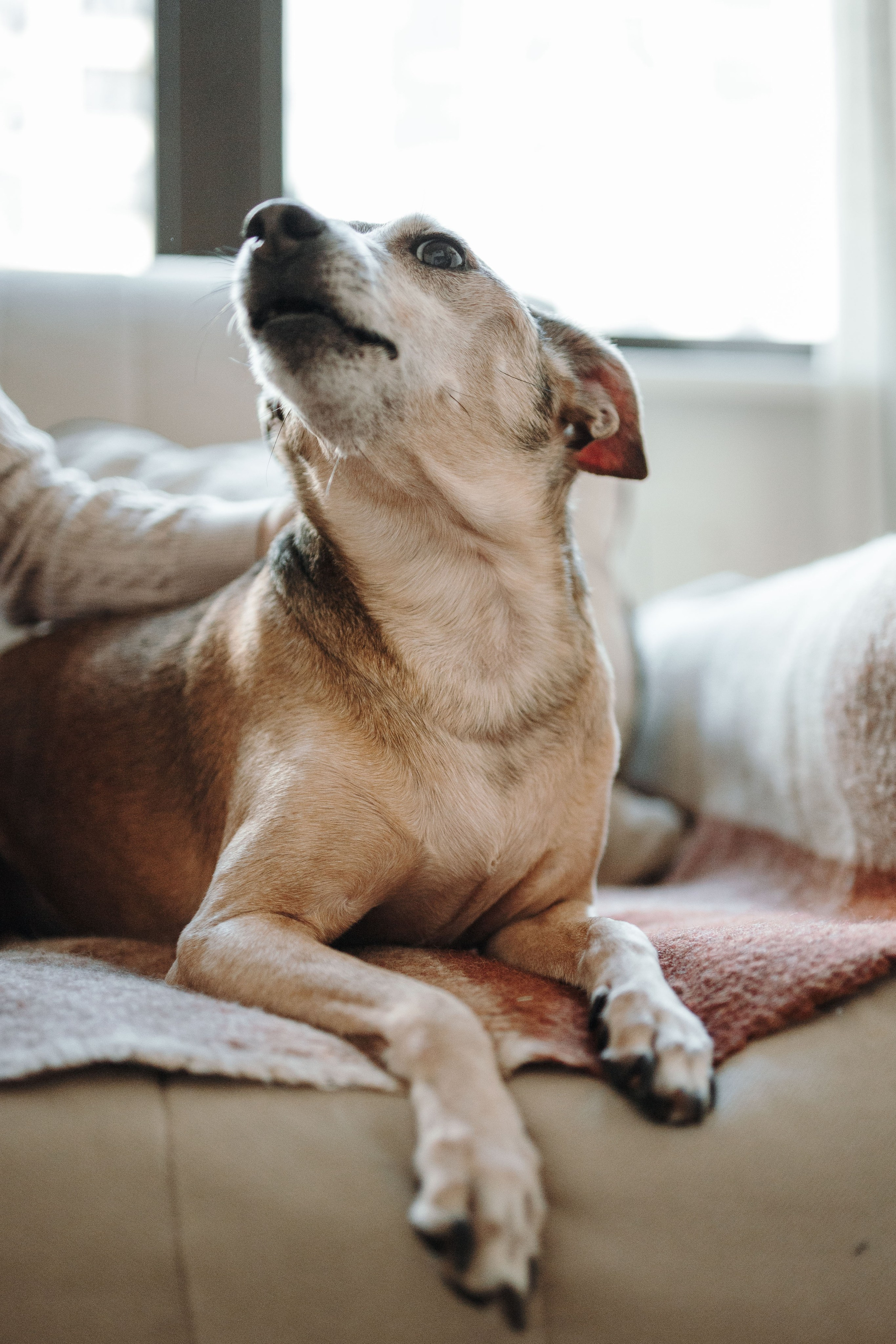 Николас и его семья