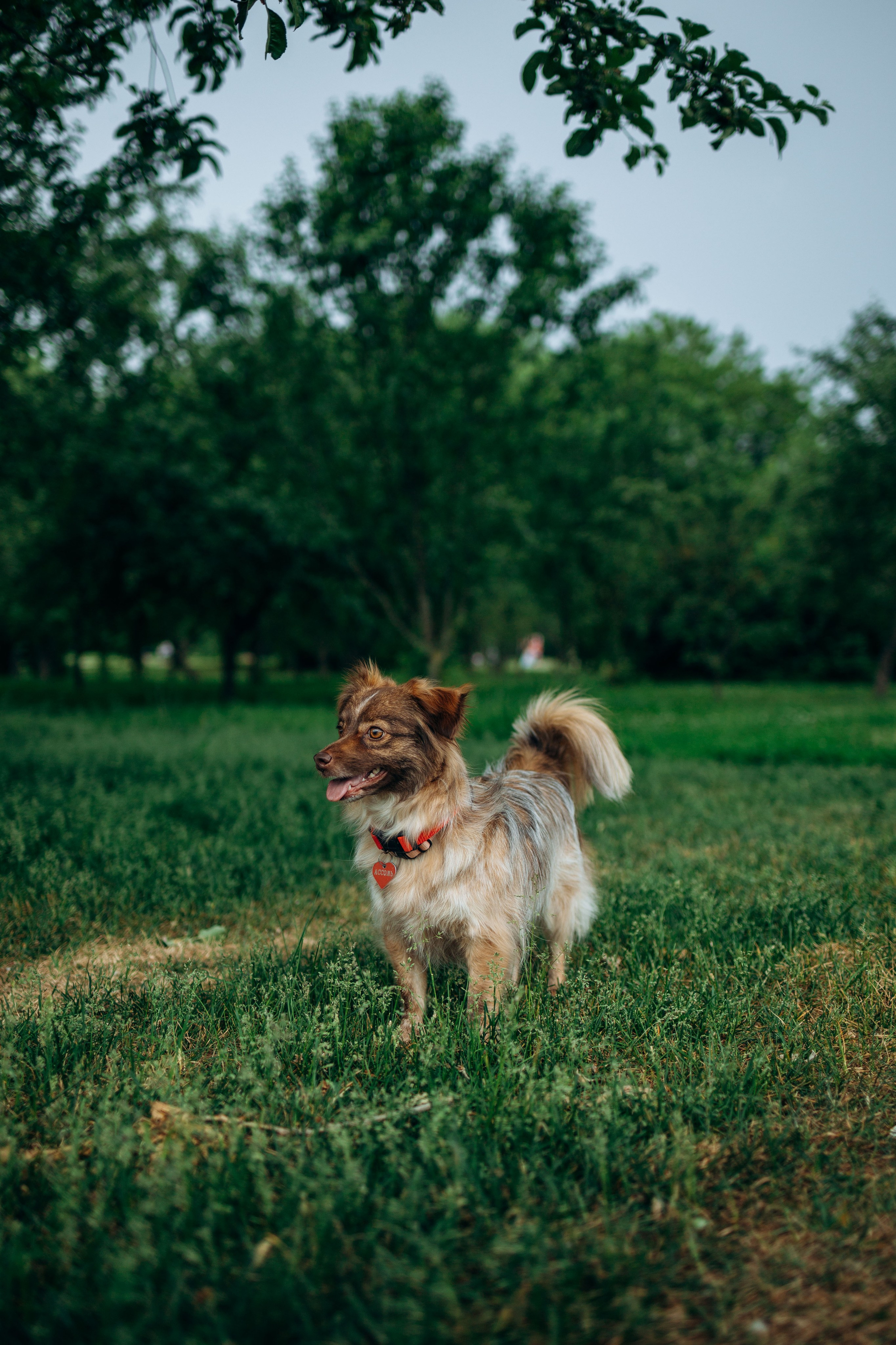 Дарья и Ассоль