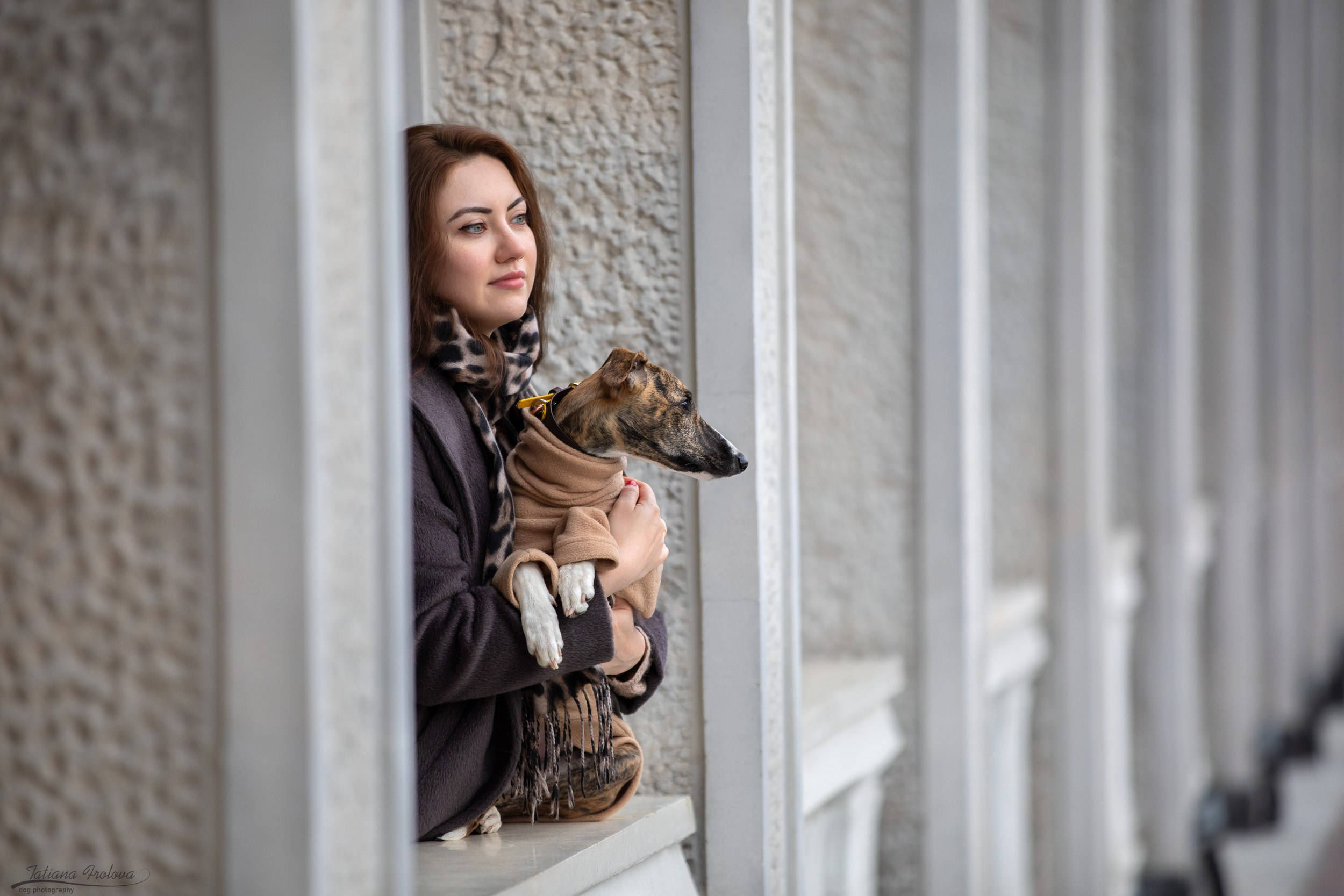Городская фотопрогулка для Насти и щенка уиппета Корицы. Фотограф-анималист в Москве и Московской области Татьяна Фролова