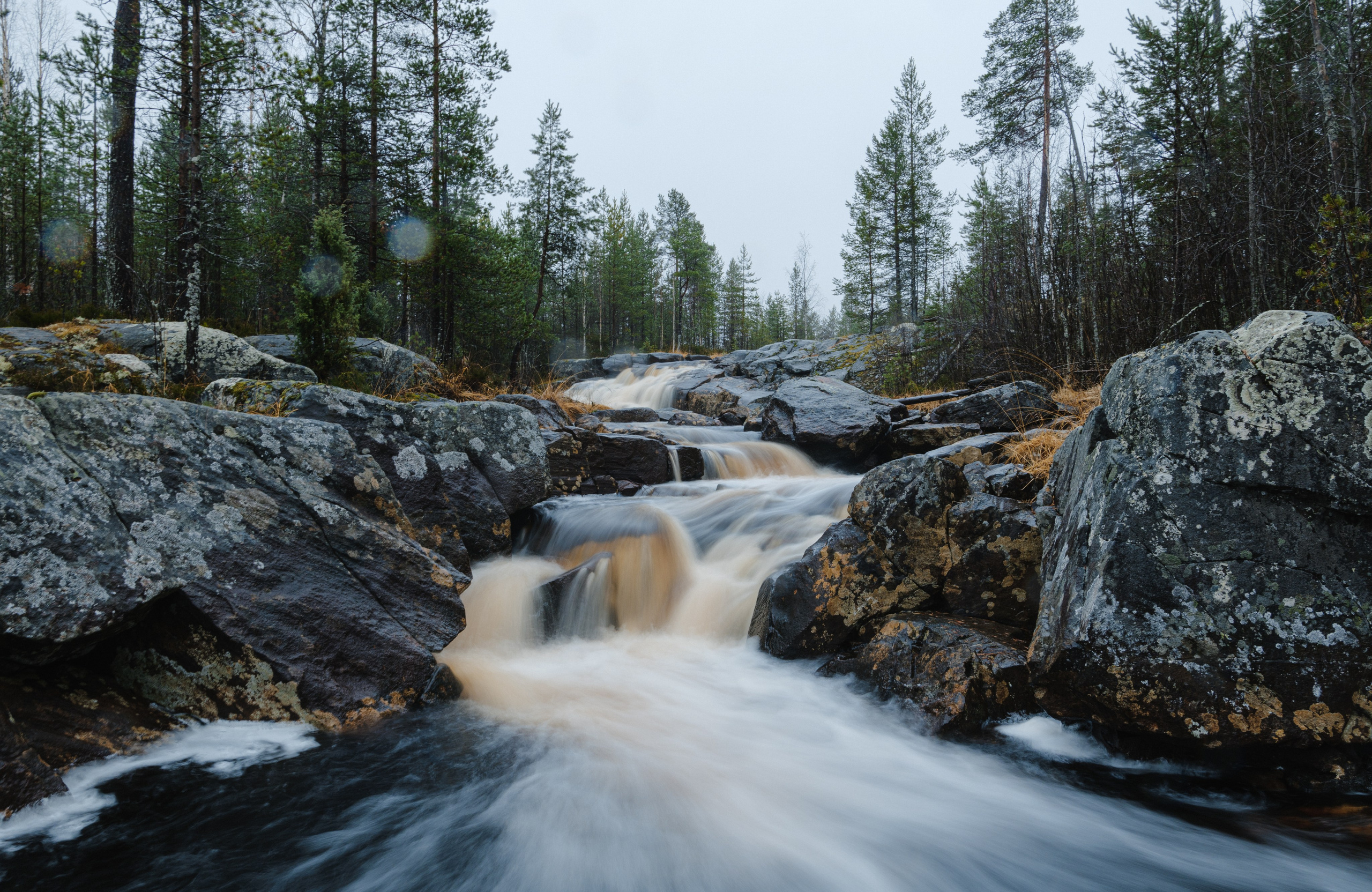 КАРЕЛИЯ / ОСЕНЬ. Создание контента | Фото | Видеосъемка | Александр Ярков