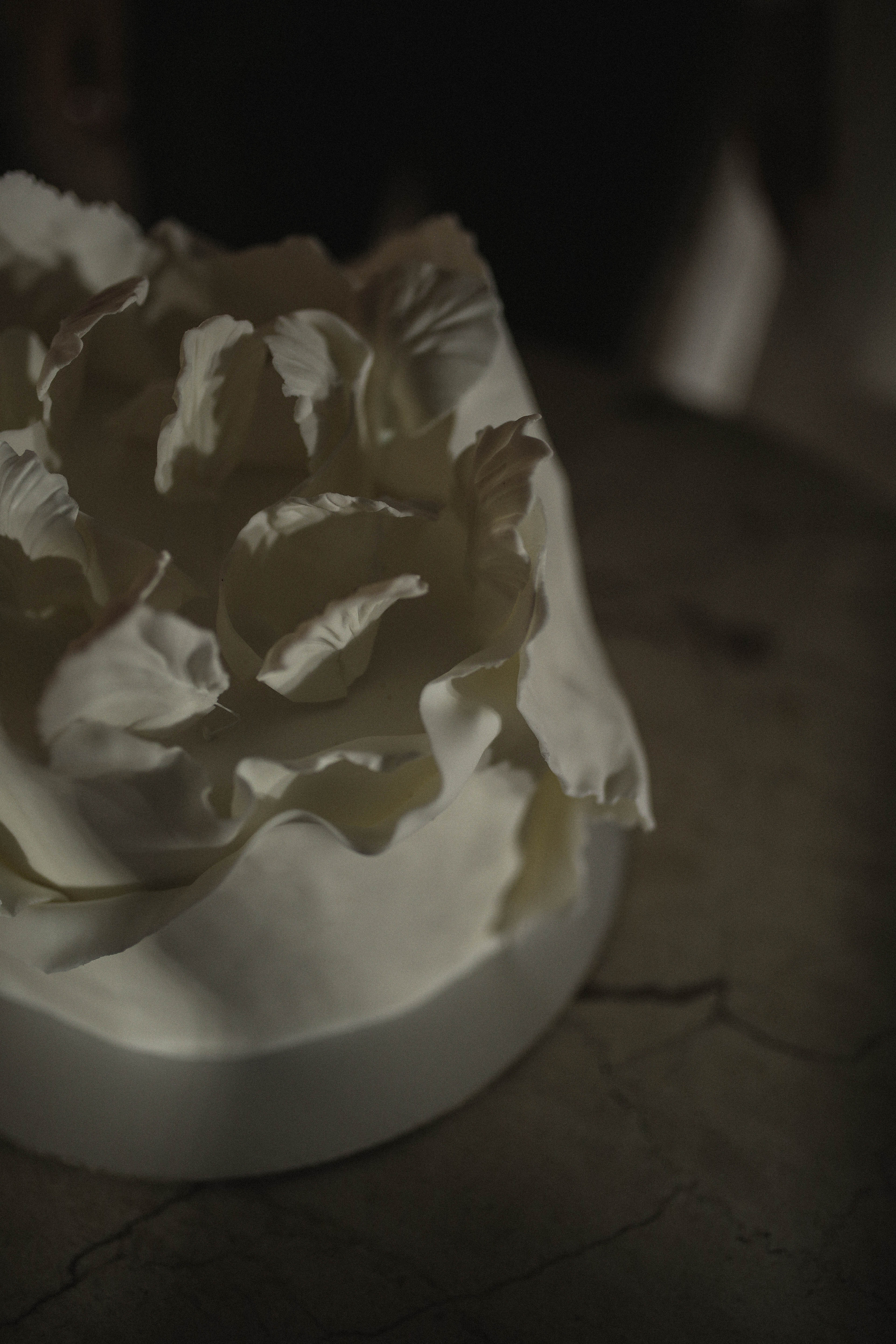 Свадебная съемка (Артем+Алена). Фотограф Калуга|Москва|Крым Данилова Александра