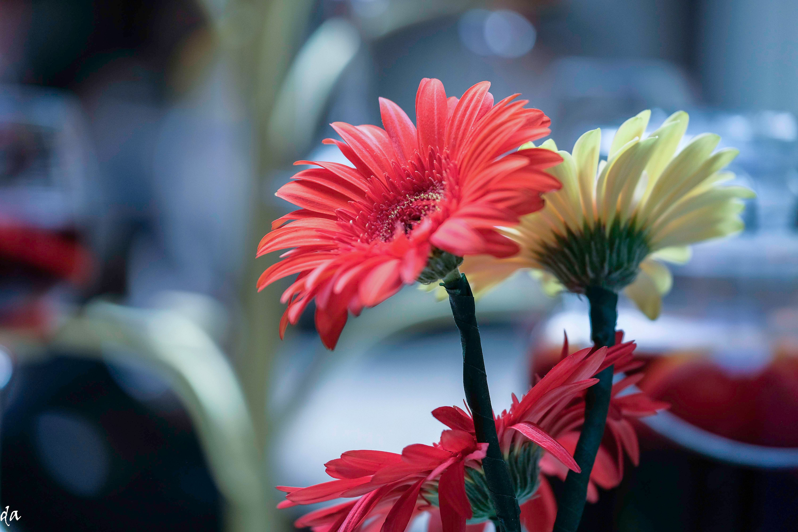 Завтрак Human. Фотограф Дмитрий Алексеев