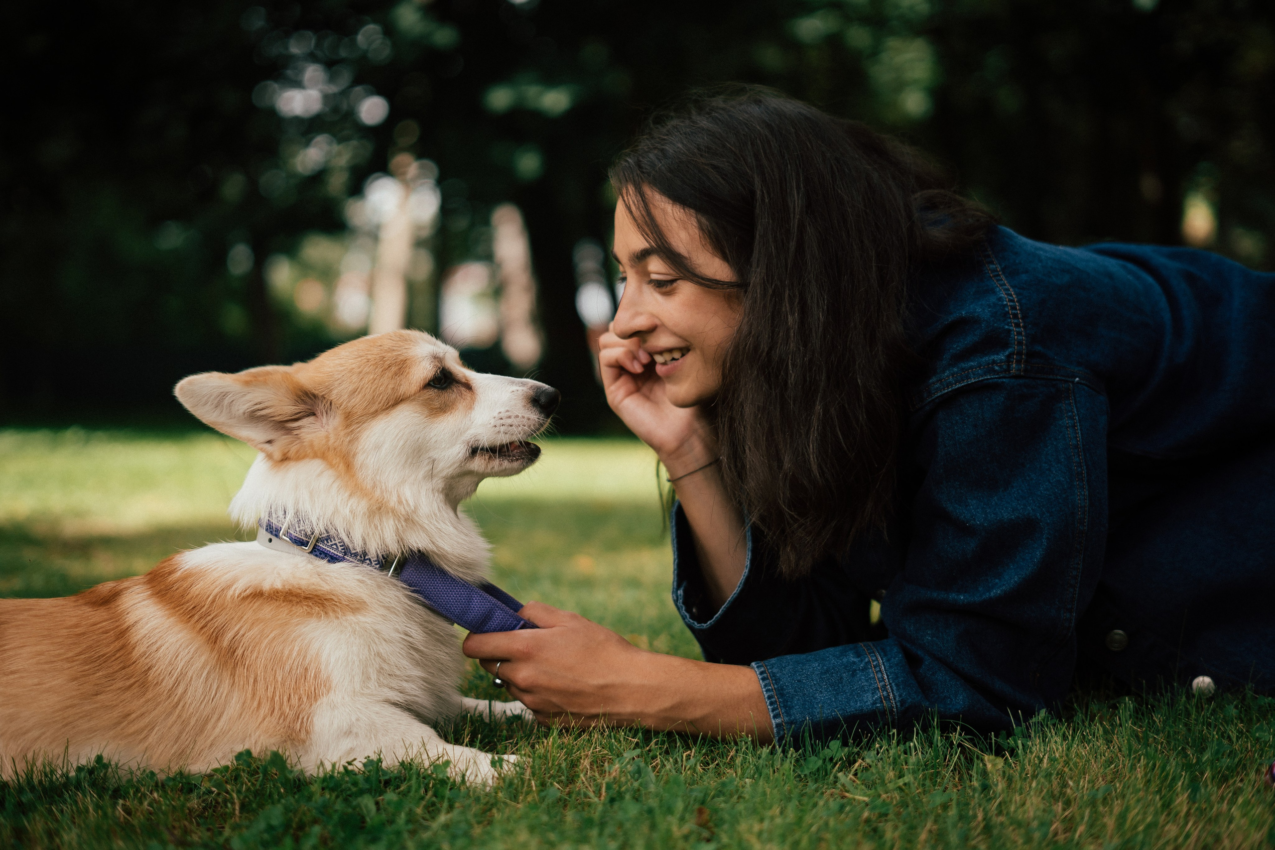 Фотосессия с собакой сахалин. Фотограф сахалин