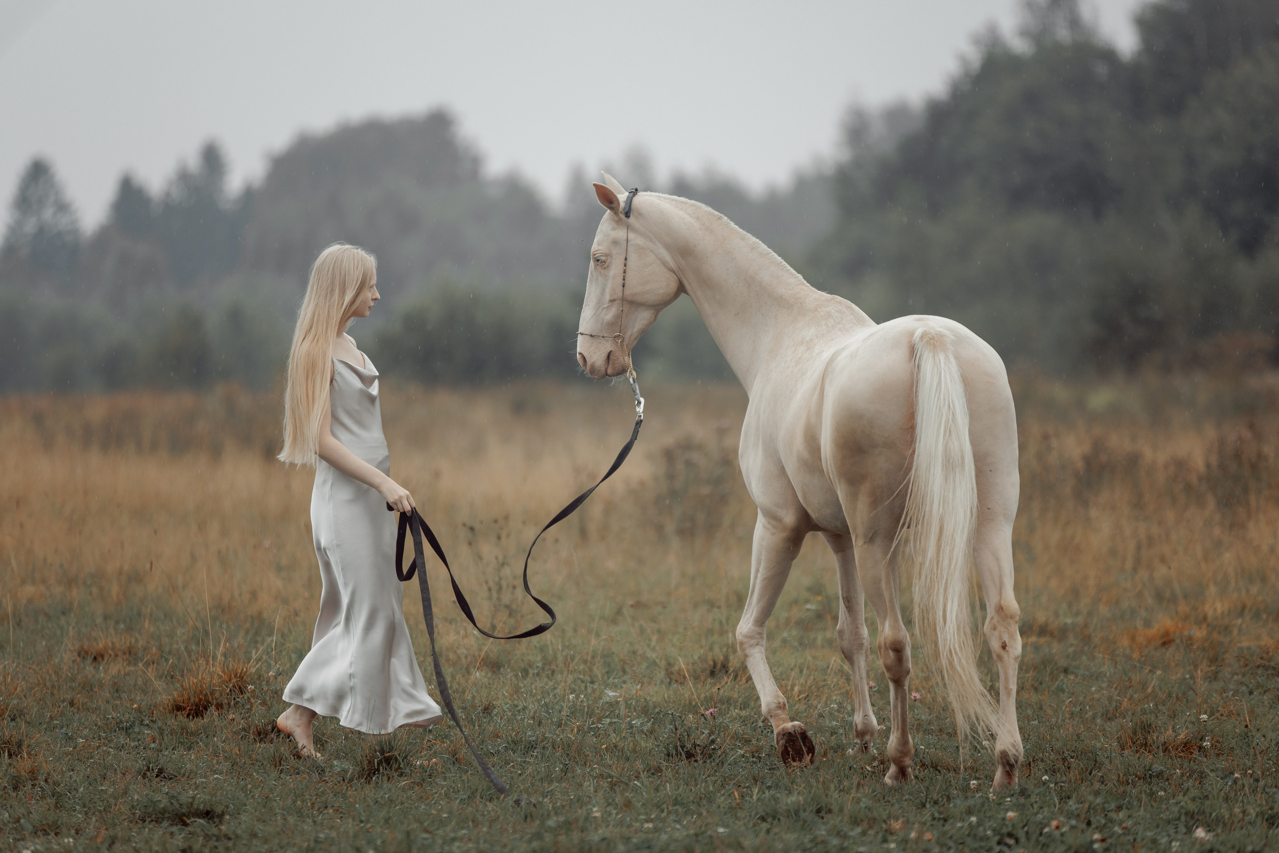 Конная съёмка. Взрослые. Детская Конная фотография в Москве Юлия Шепелева