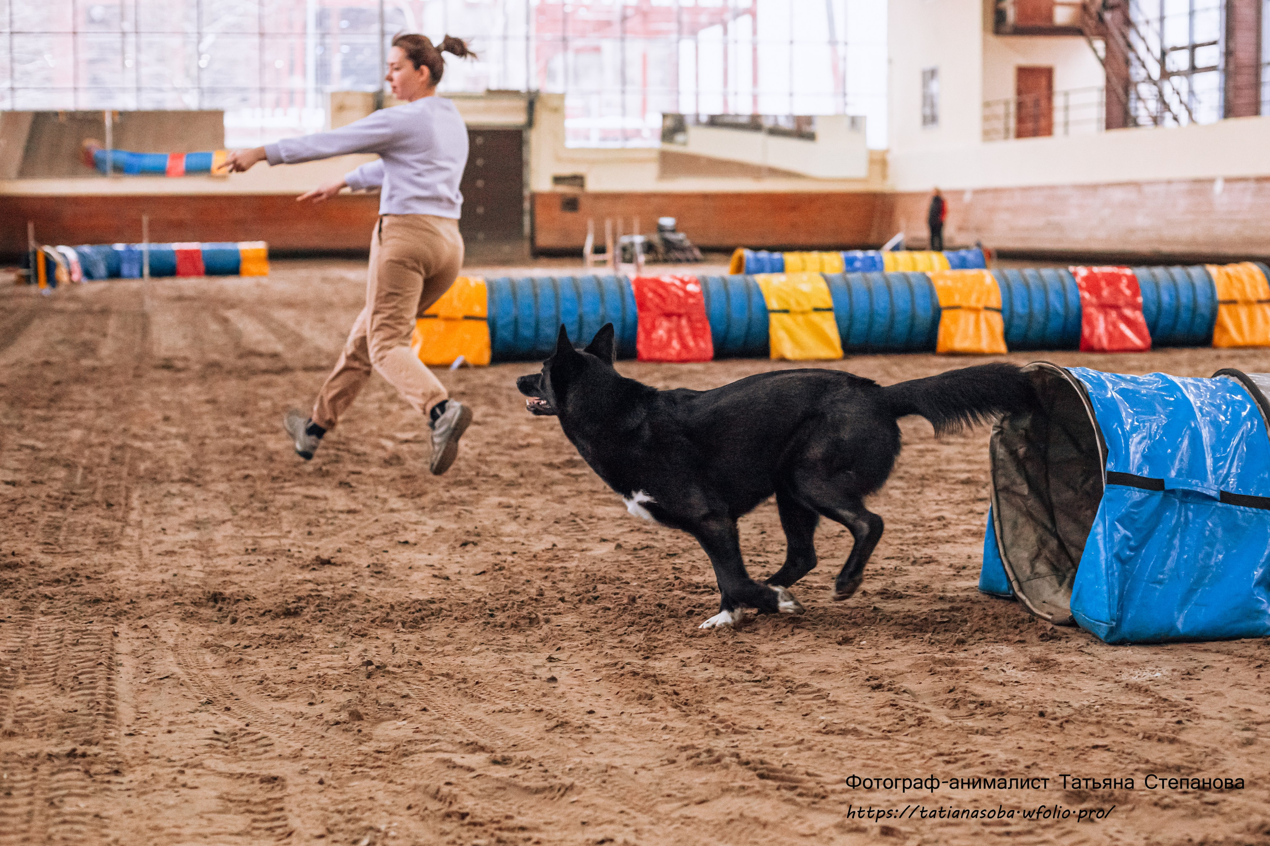 Соревнования по Аджилити 25.02.2024. Фотограф-анималист Татьяна Степанова