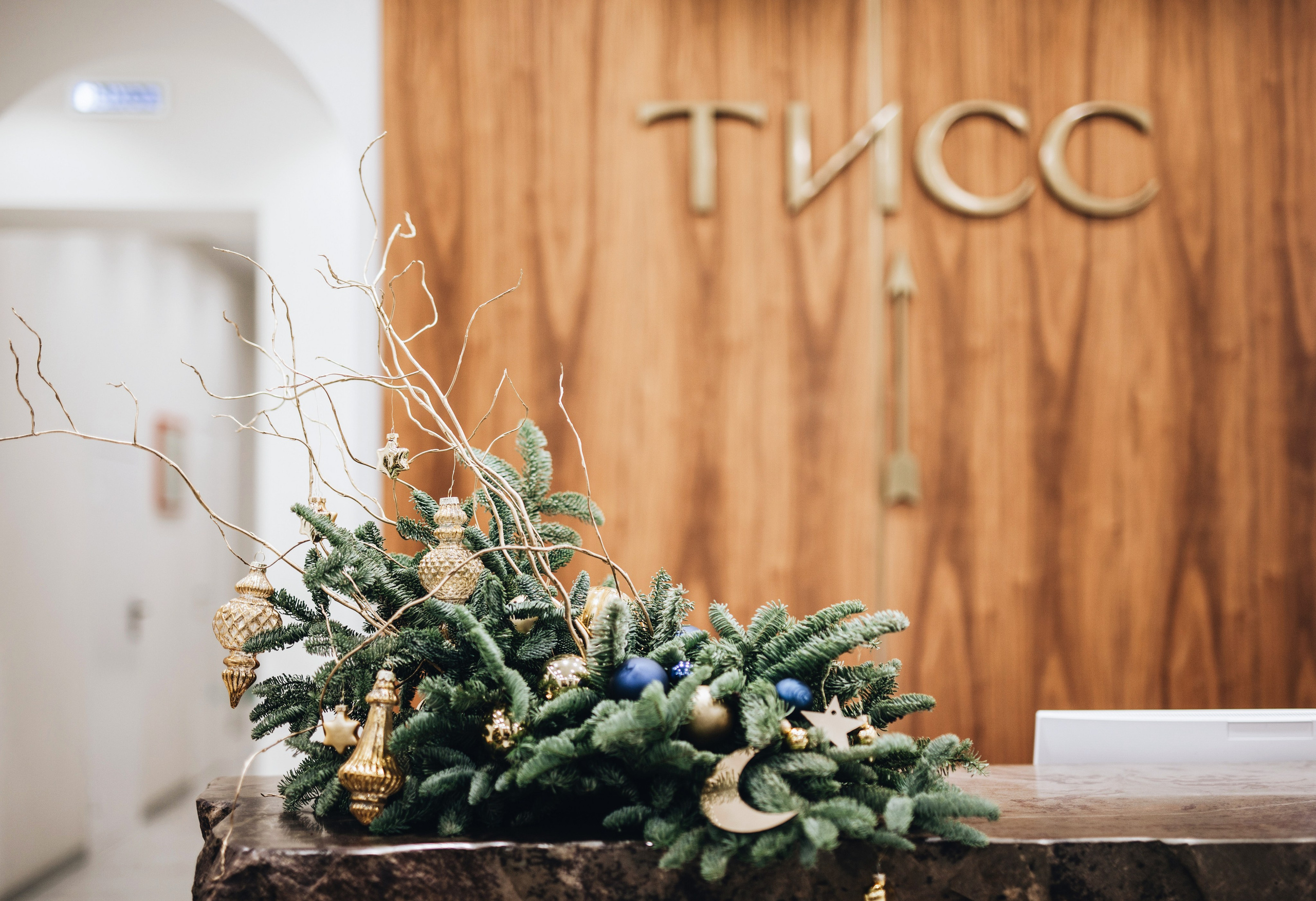 Тисс 2023. Ксения Почтарь. Декоратор и флорист, город Владивосток