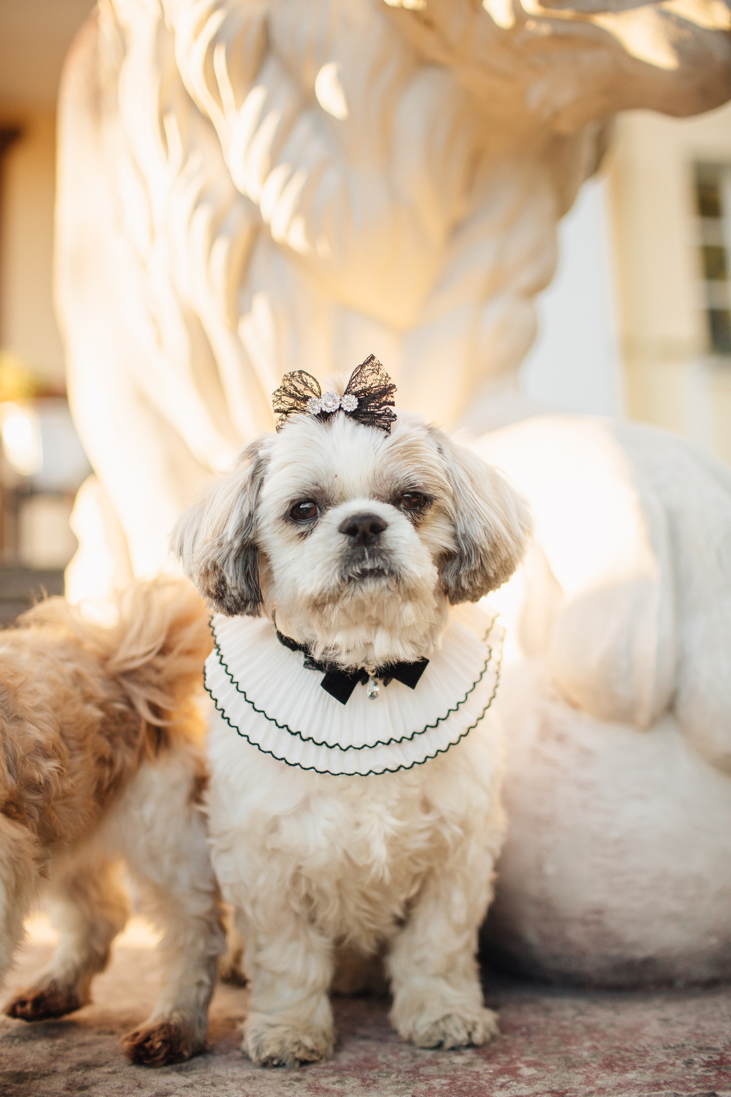 Помолвка Женя Люба. Свадебный фотограф в Санкт-Петербурге