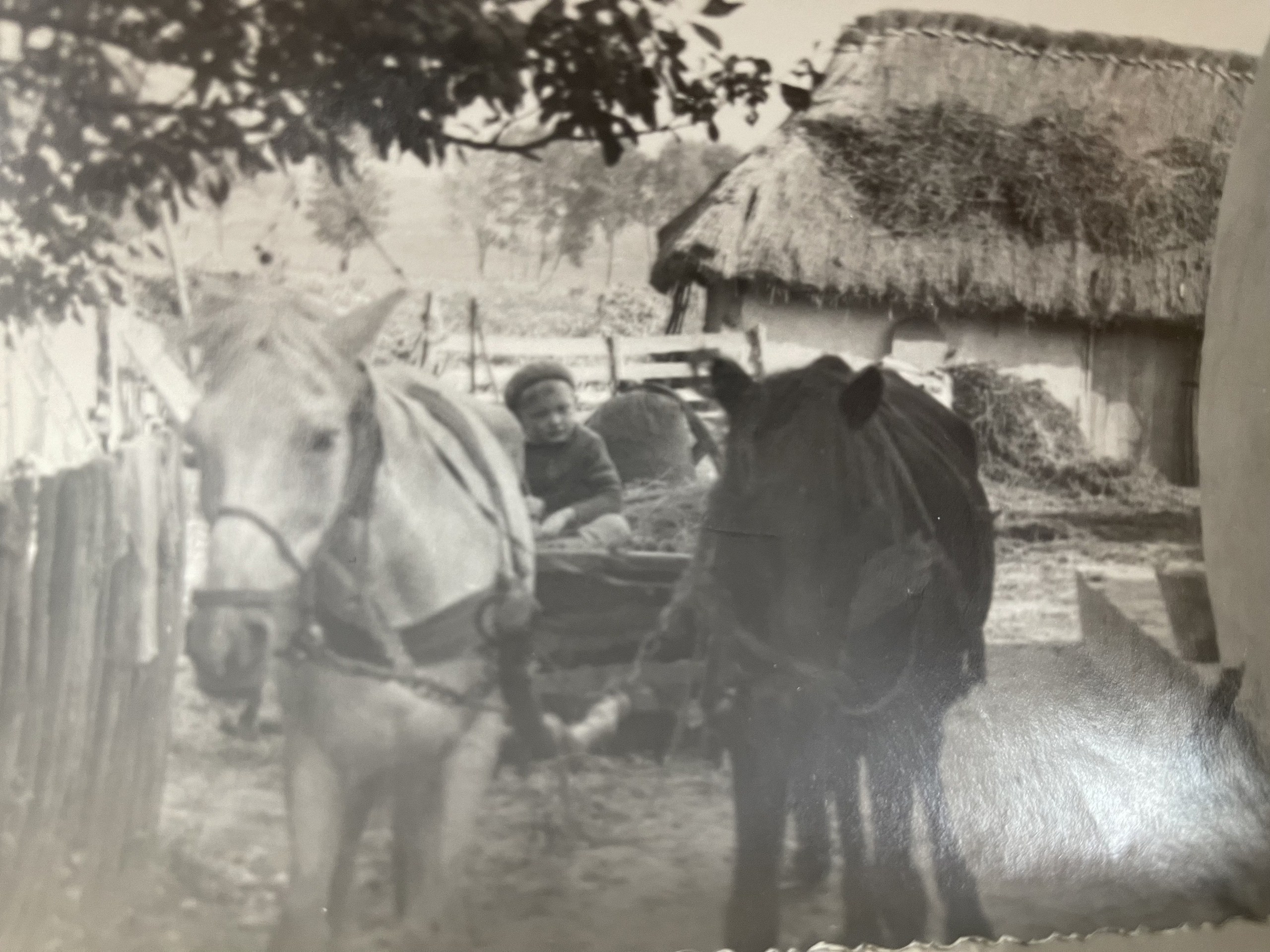 Мусихин Михаил Аркадьевич — сайт памяти о добром и светлом человеке