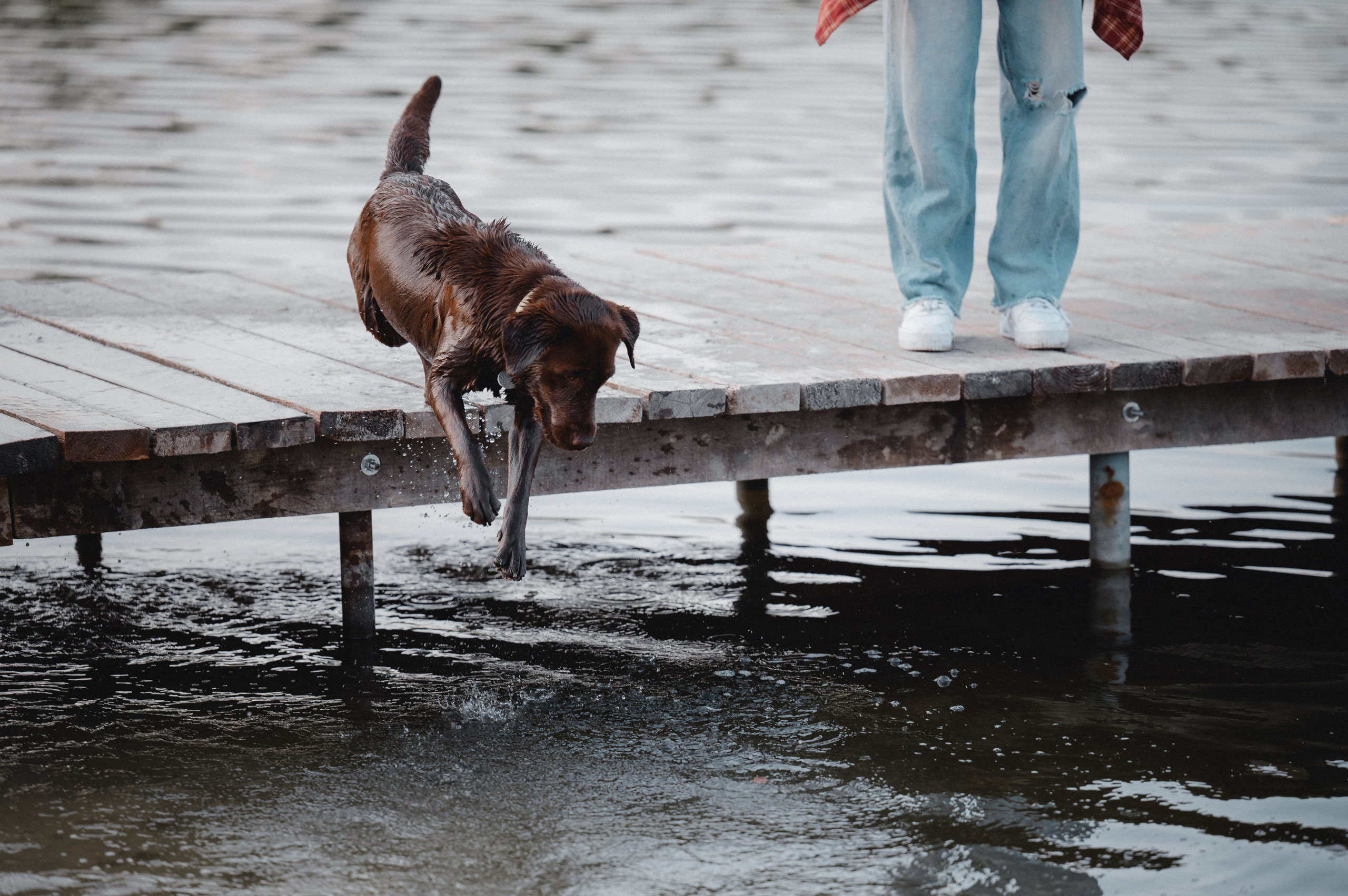 Анечка и Дэя. Фотограф в Ростове —на — Дону