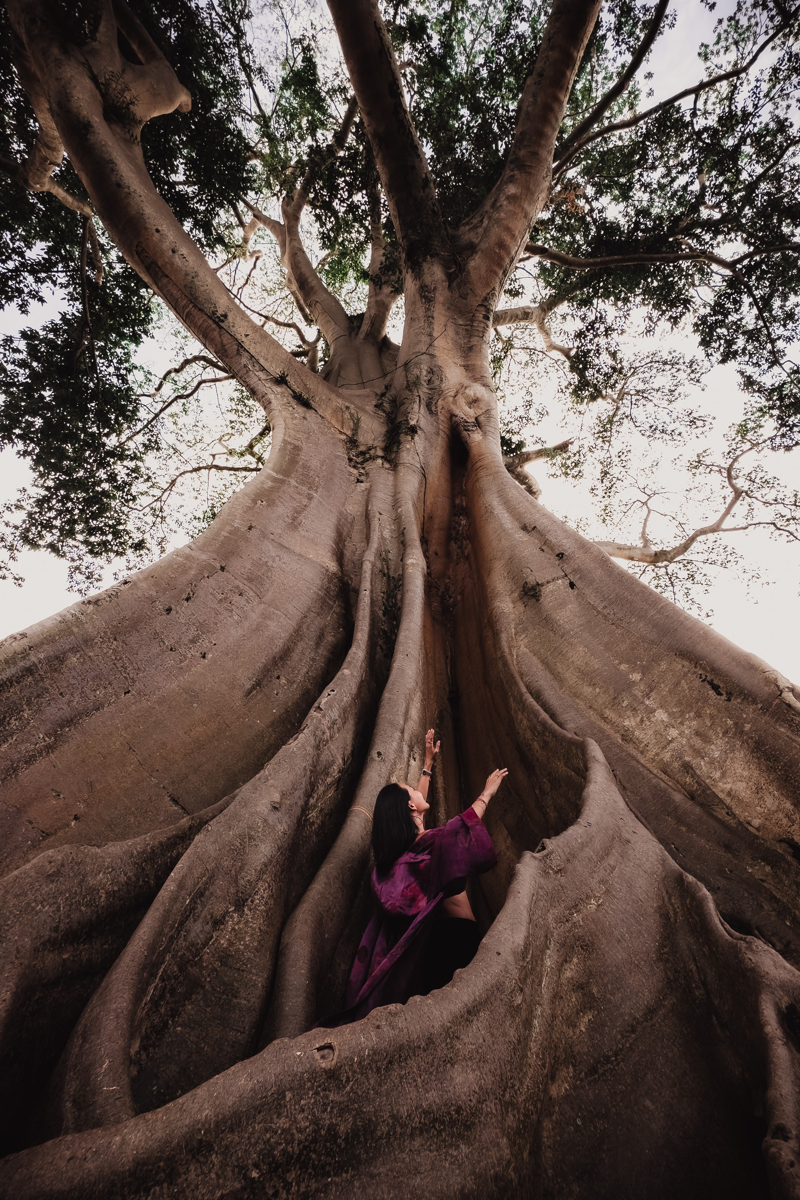 Banyan date. Mariam Bagdasaryan