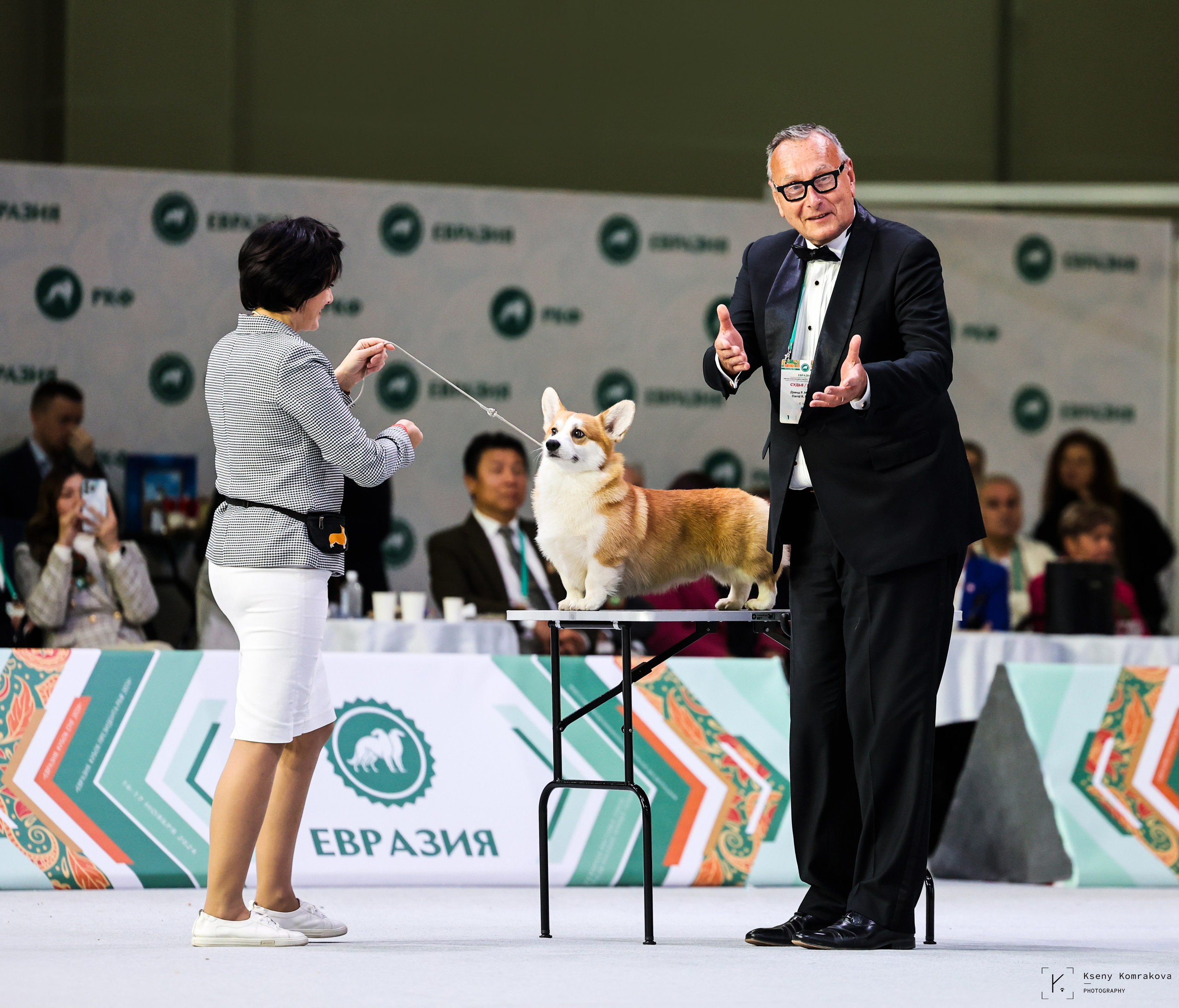 Анималистика. Репортаж. Индивидуальная съемка