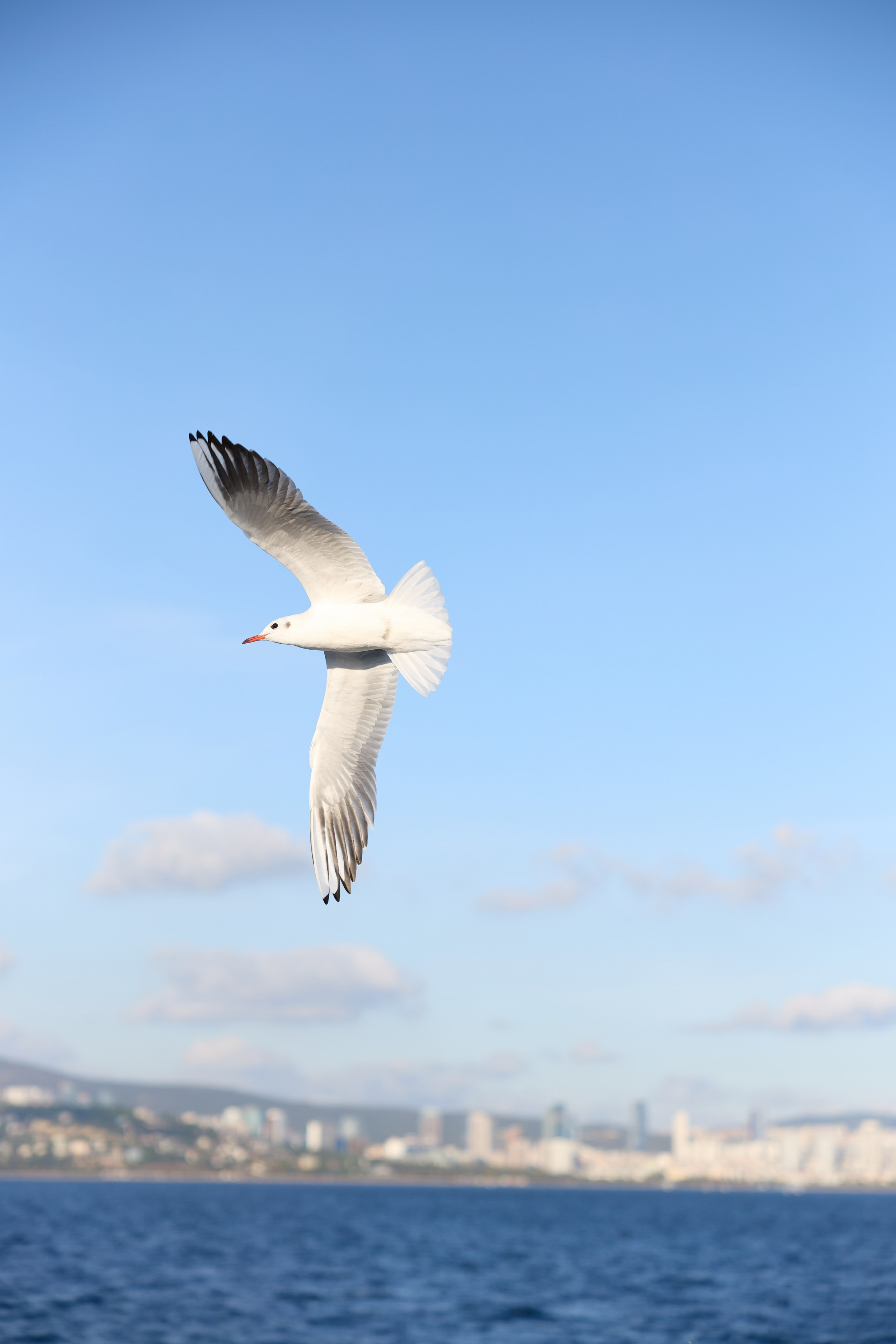 Стамбул 24. Фотограф Москва, Дима Пеллер