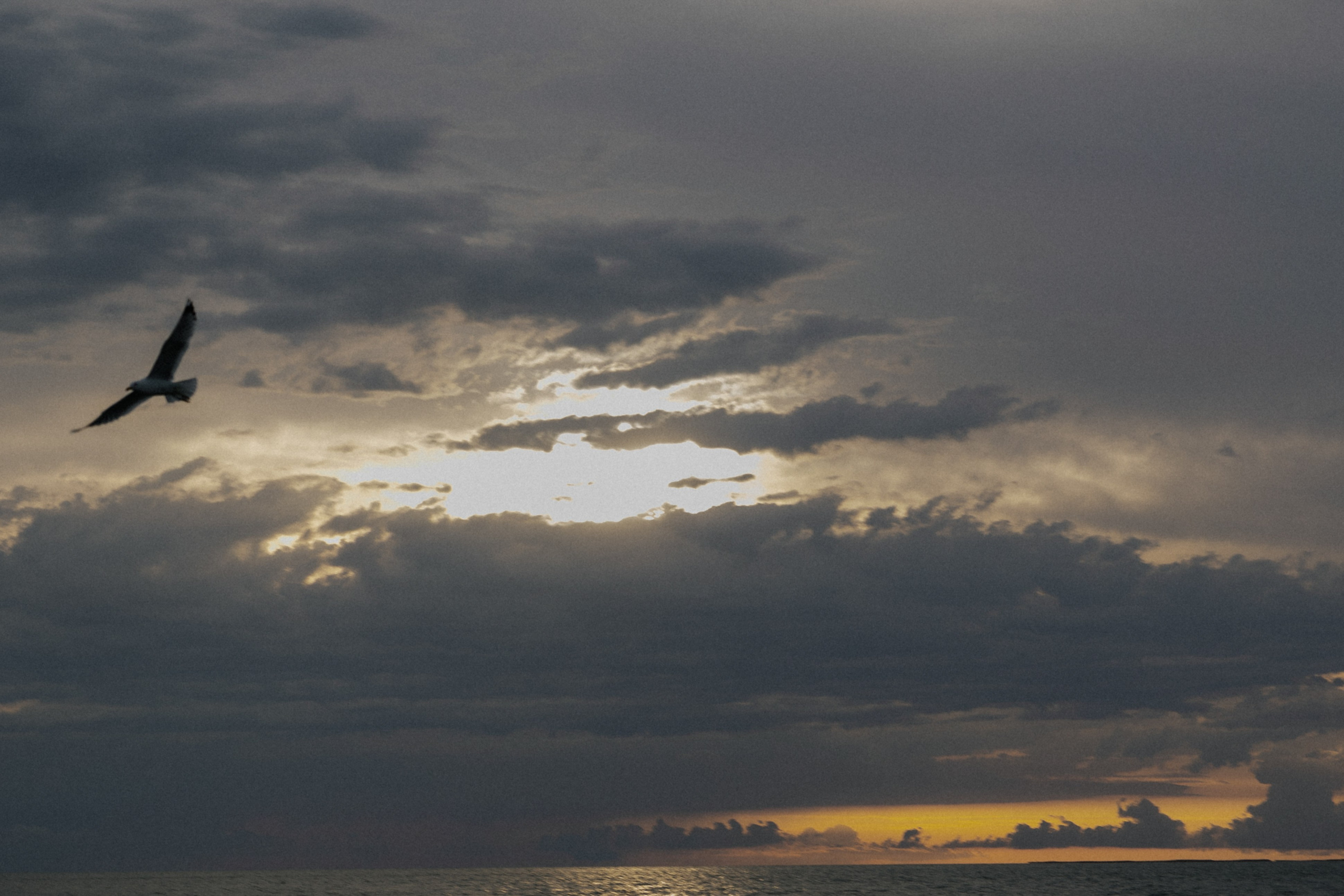 Моё море. Свадебный фотограф Воронеж Москва СПБ