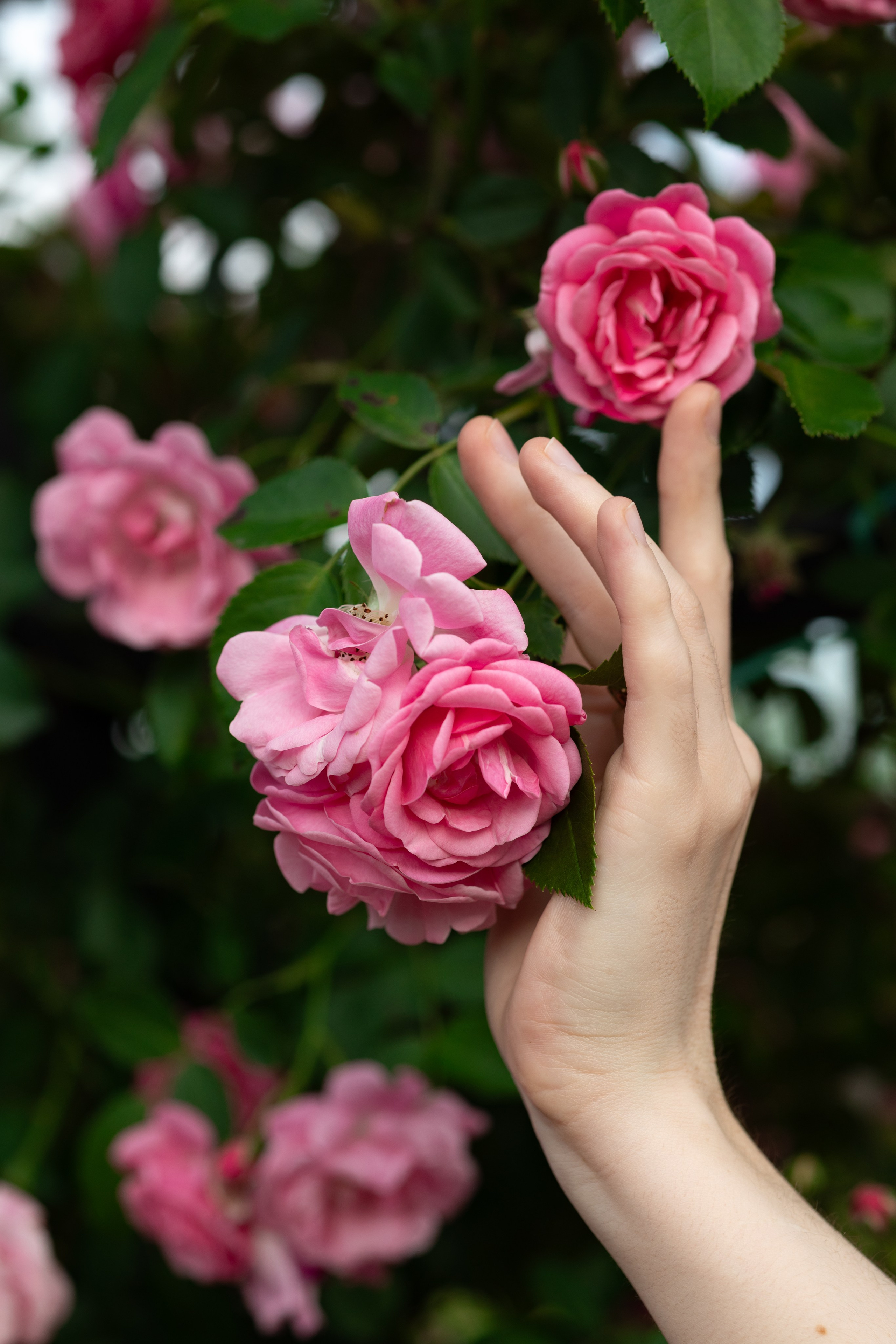 Индивидуальные фотопрогулки. Фотограф Минск