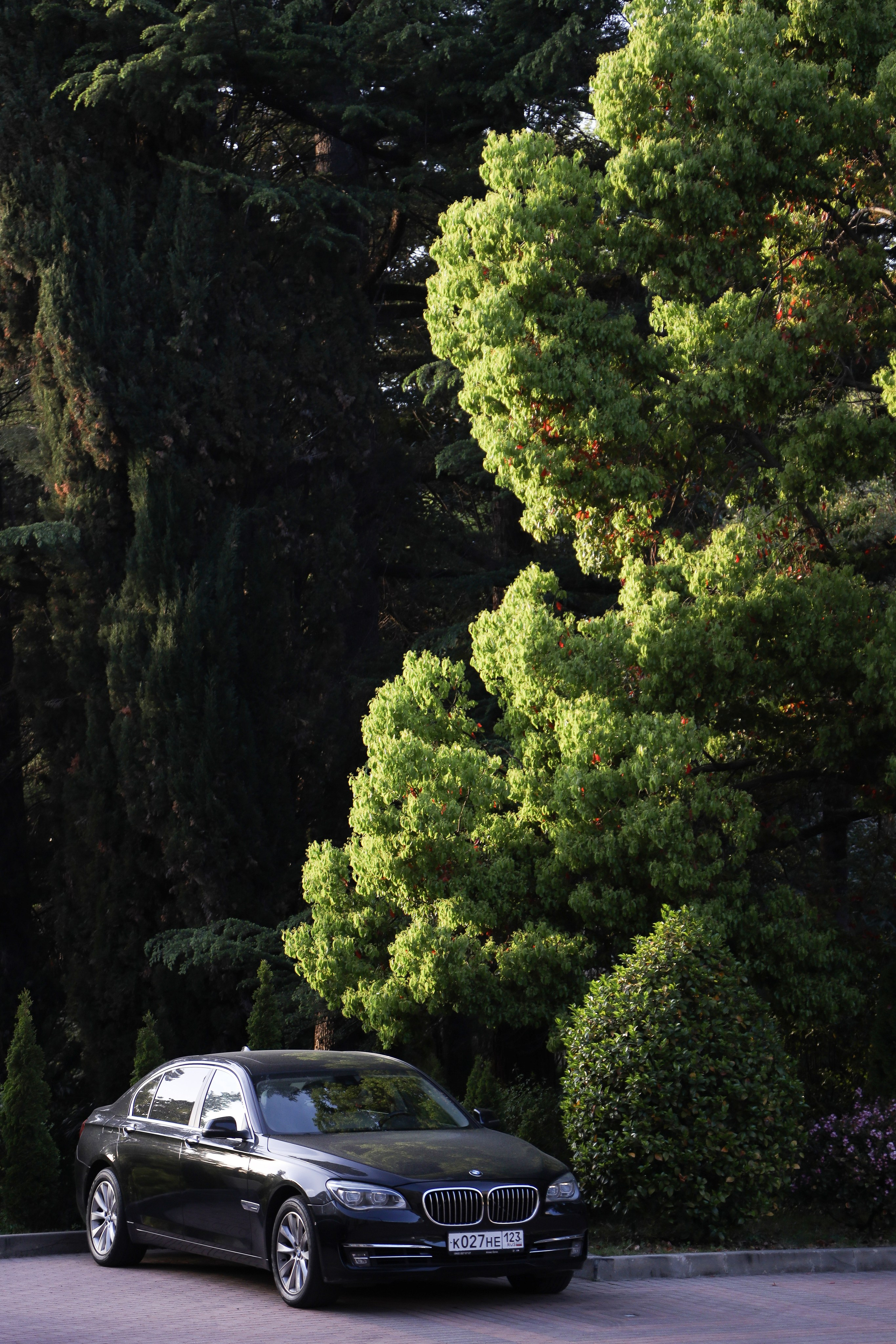 NSP Конференция в Сочи. Фотограф Антон Чупринин