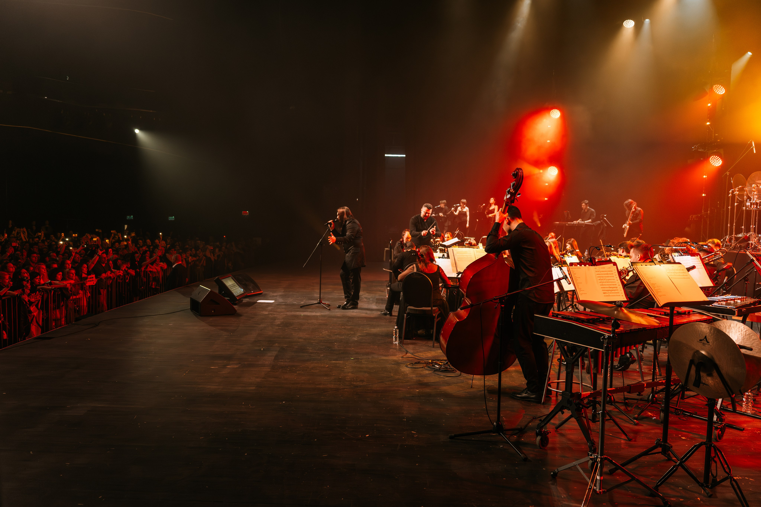 Алексей Горшенёв. Магия музыки в кадре: Концертная Фотография