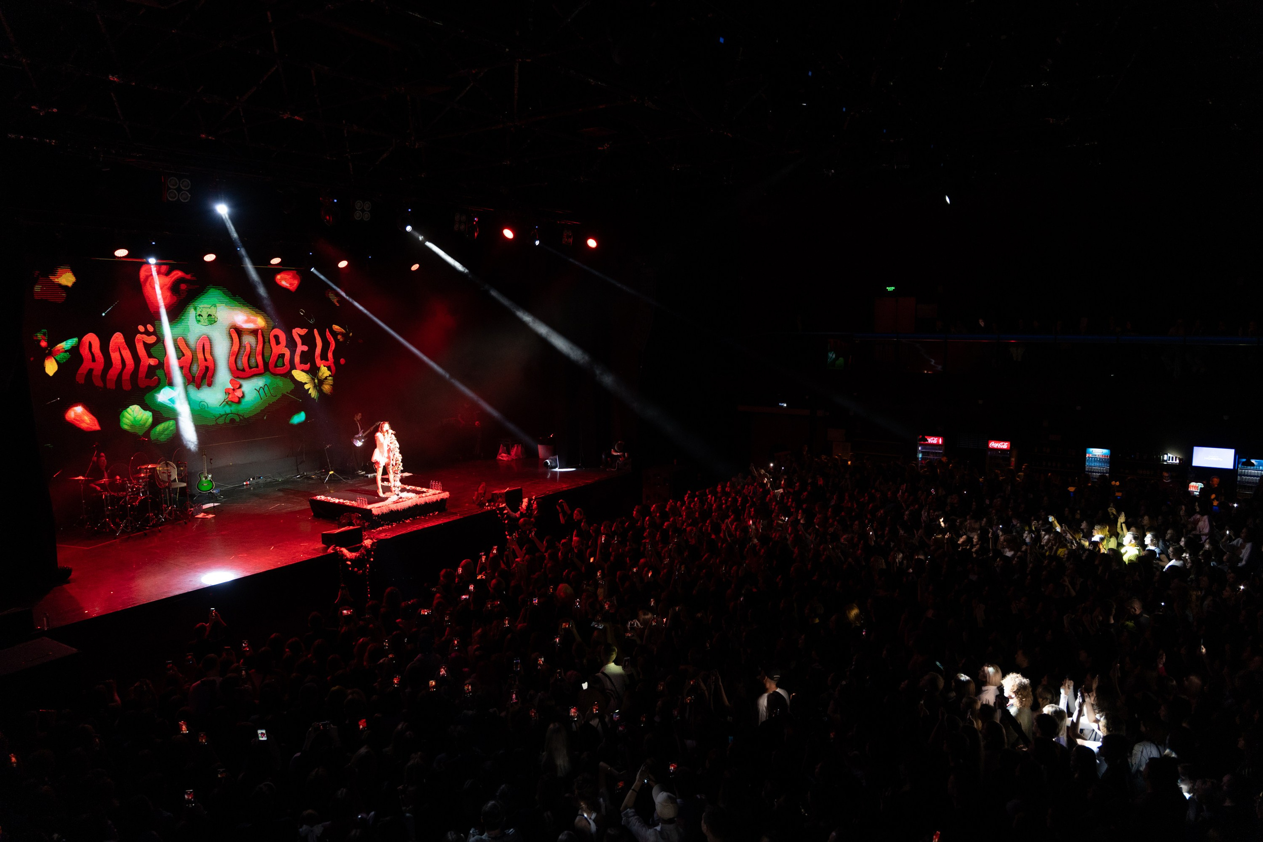 Алена Швец. Магия музыки в кадре: Концертная Фотография