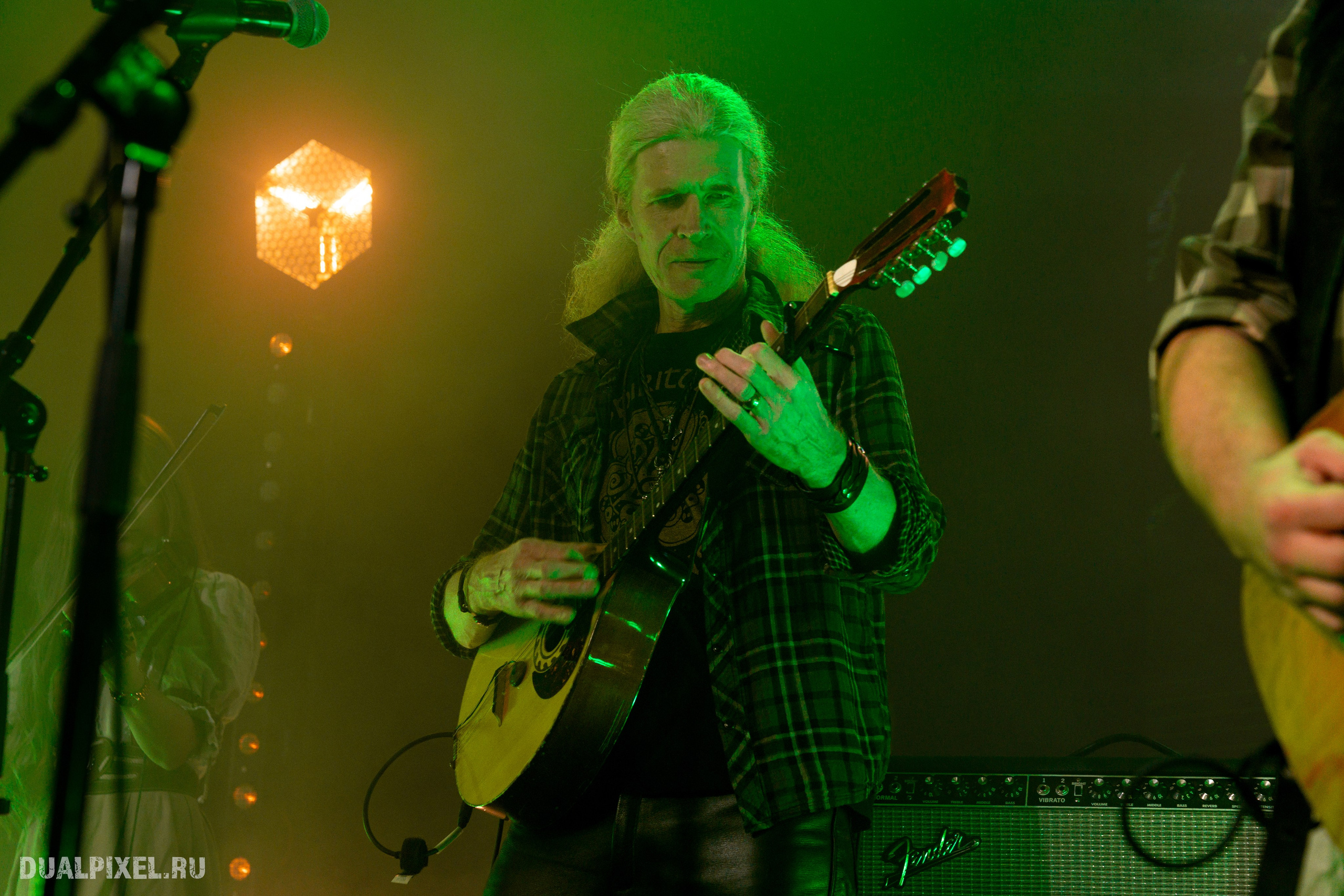 Тролль гнёт ель. Магия музыки в кадре: Концертная Фотография