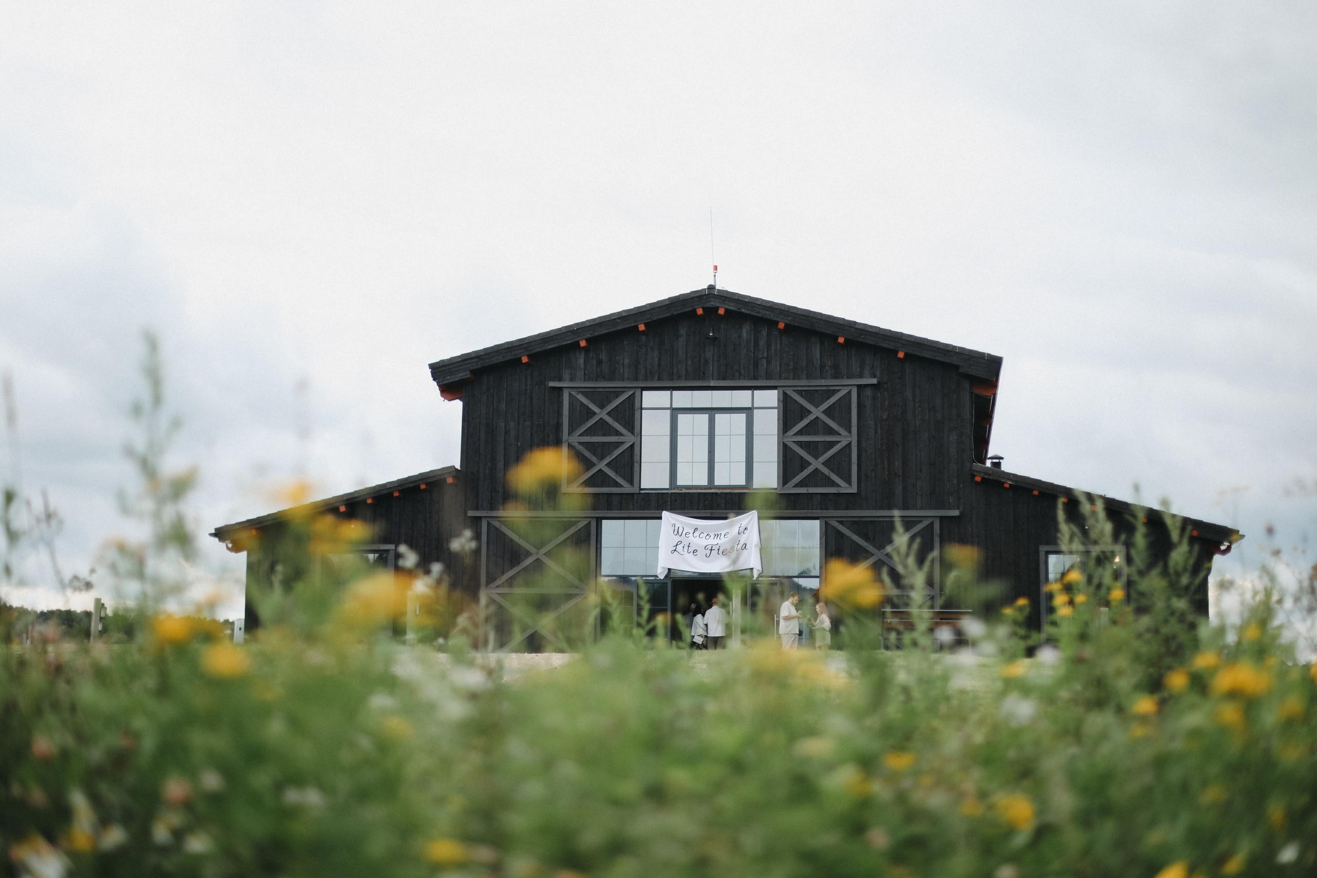 АЛЕКСЕЙ И ДАША. Свадьбы