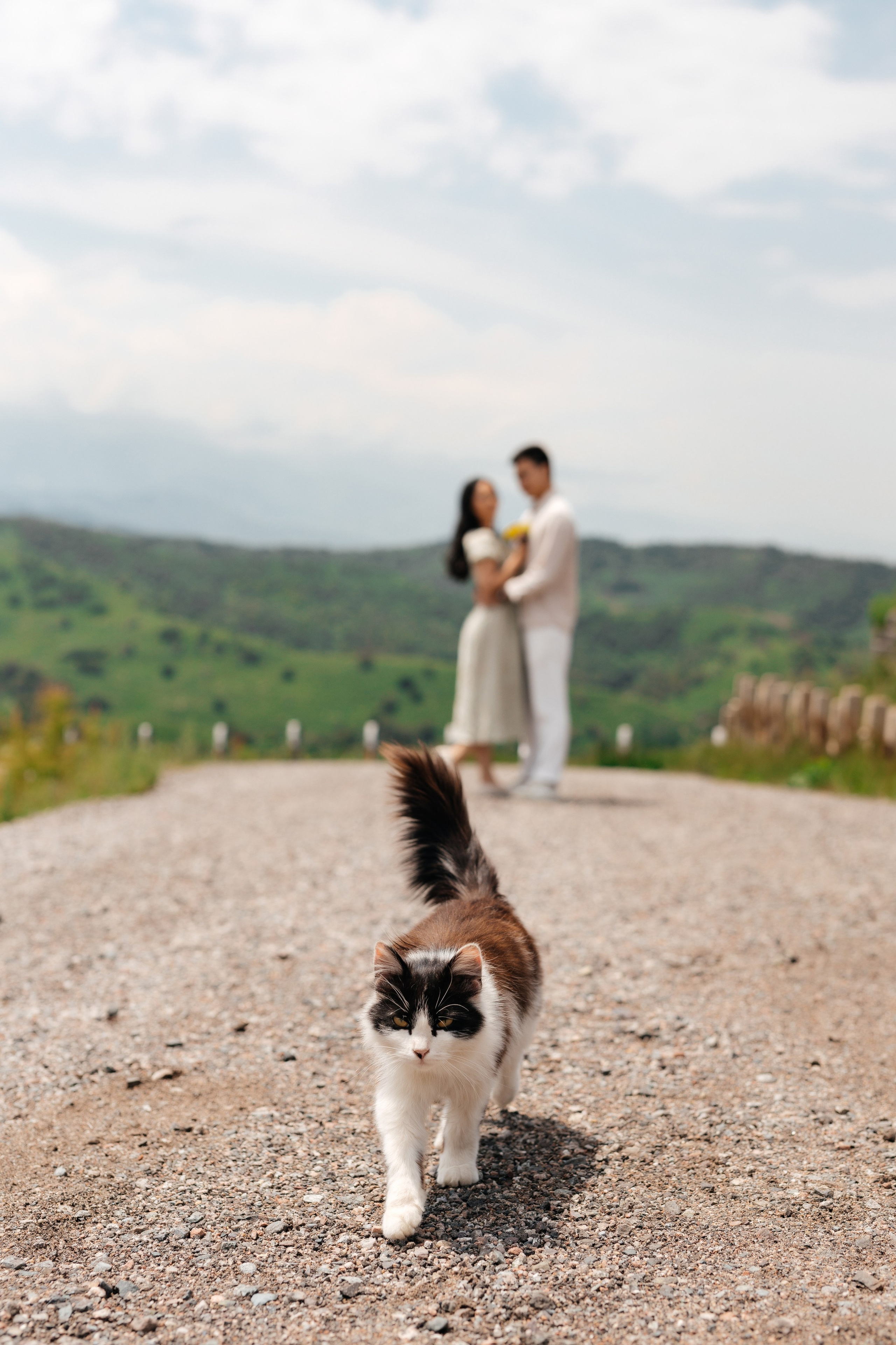 Sultan & Kamila. Wedding and Love story Photographer