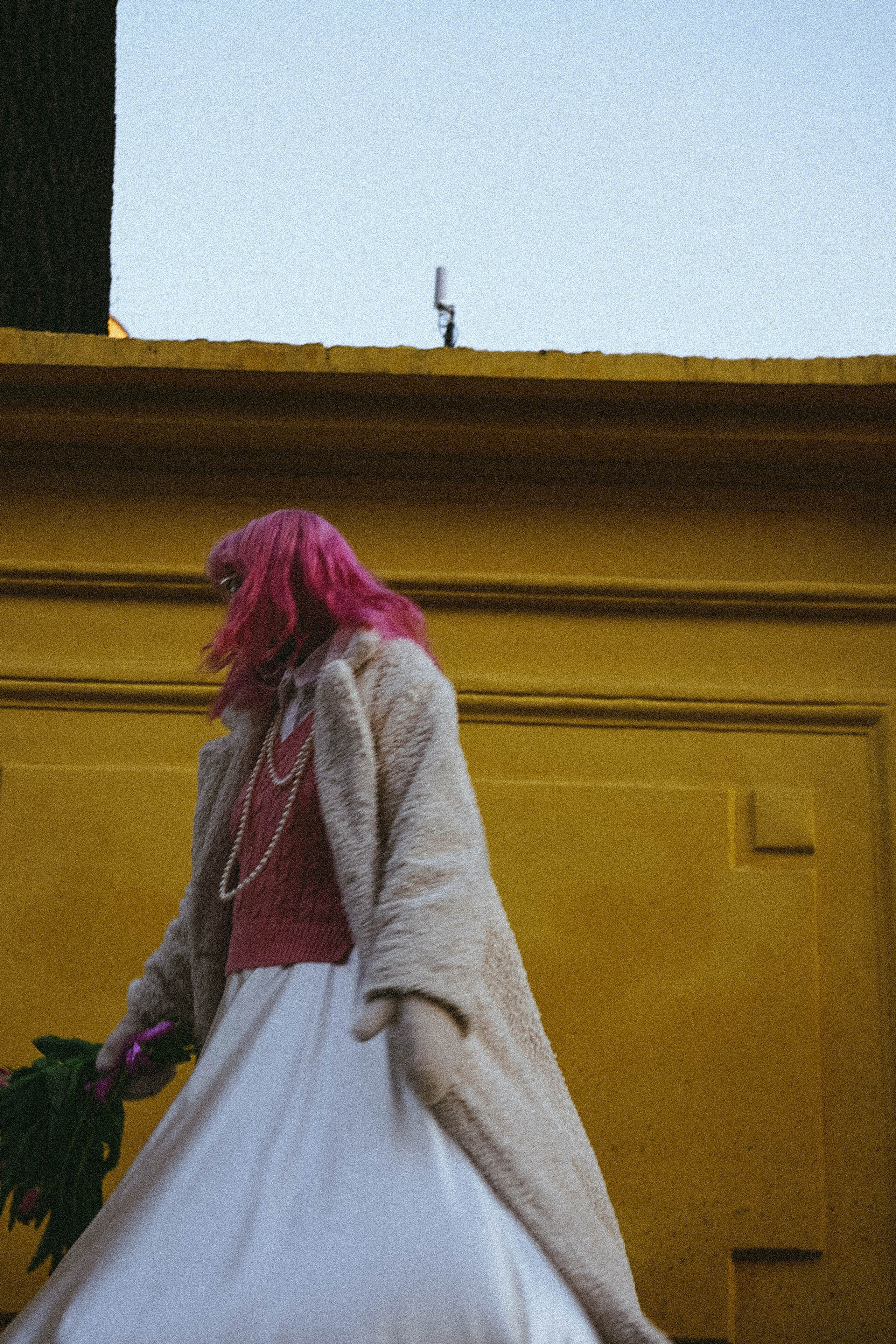 Тюльпаны. Профессиональный фотограф, Санкт-Петербург — Виктория Богомолова