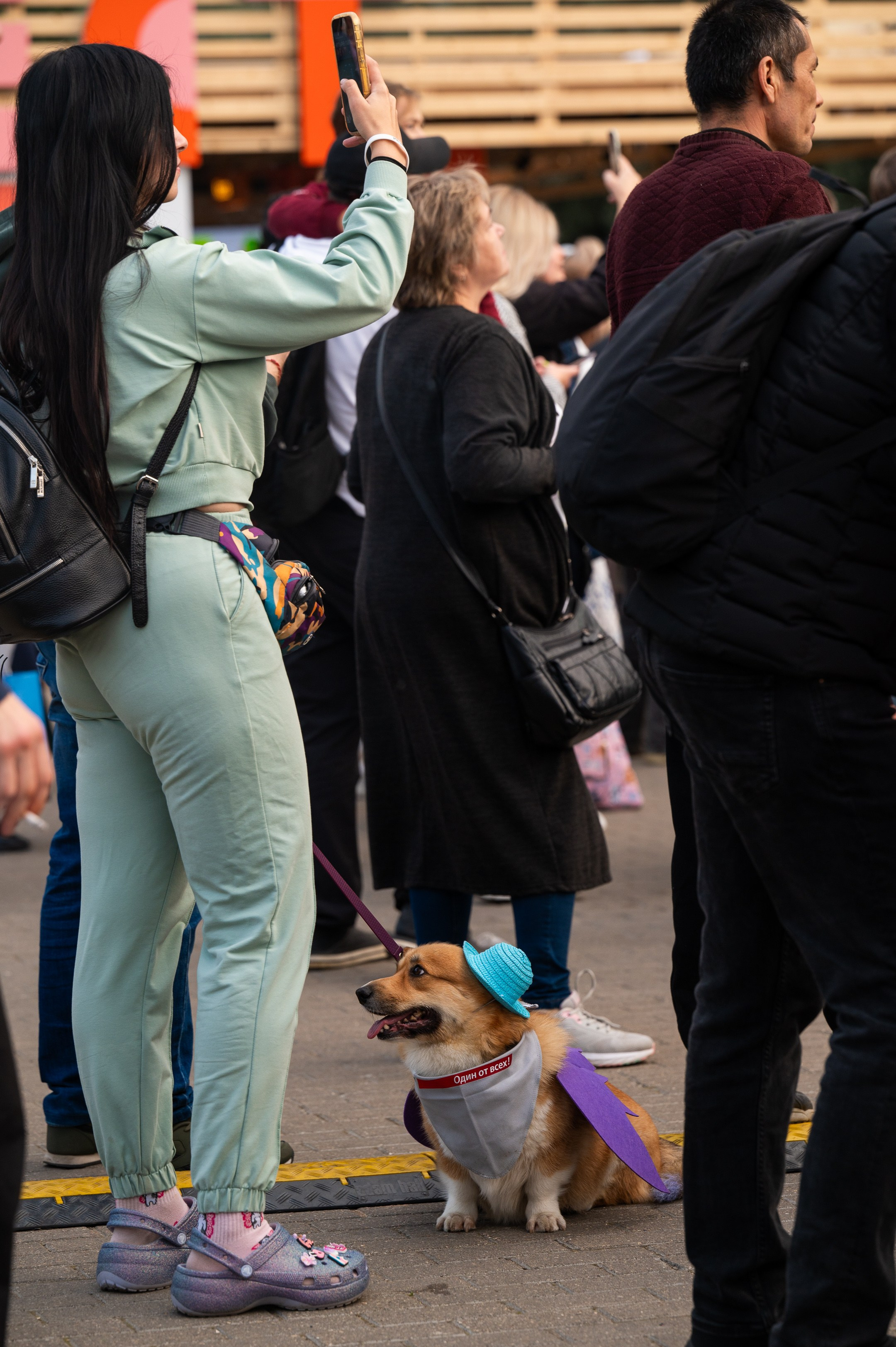 4lapy fest 2025. Photographer in Moscow Anna Chistiakova