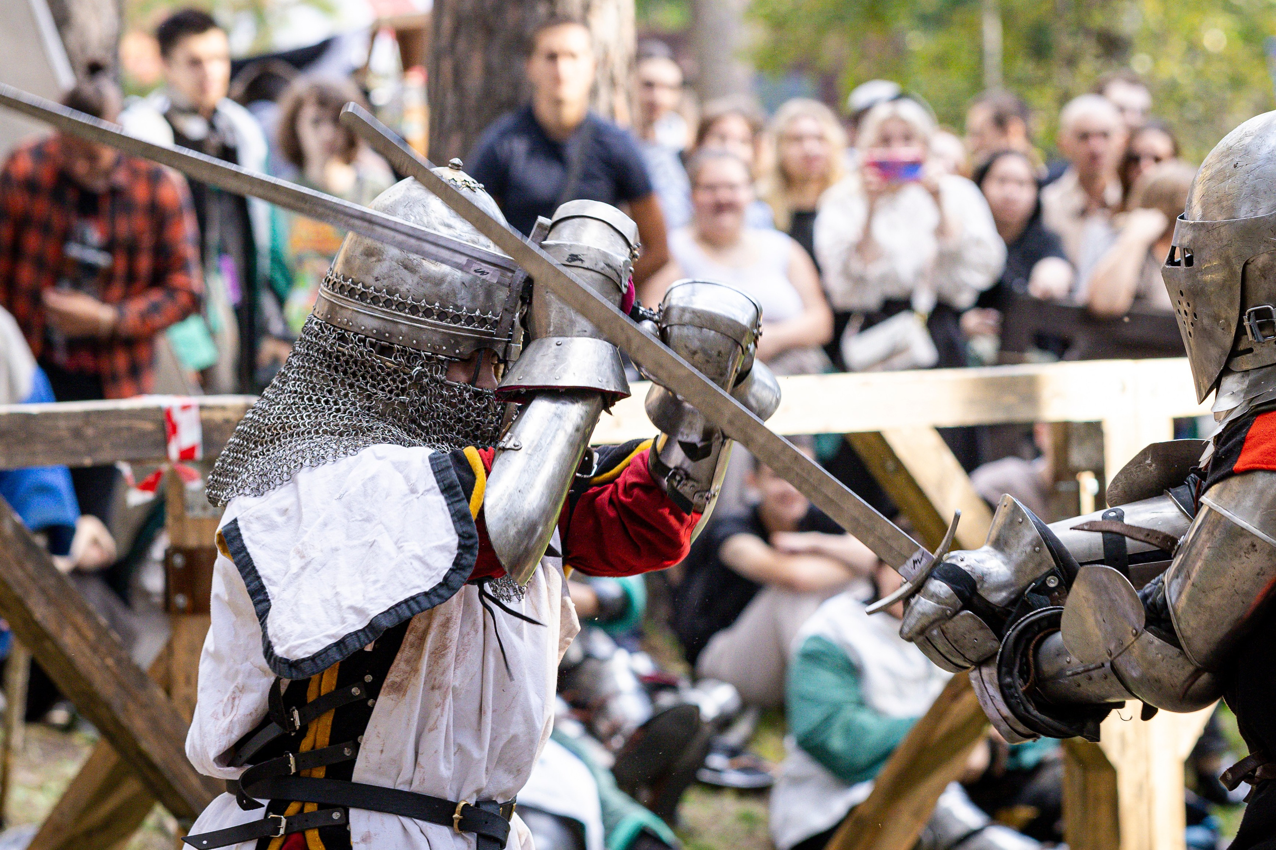 Княжий двор 2025. Bertran Ordo